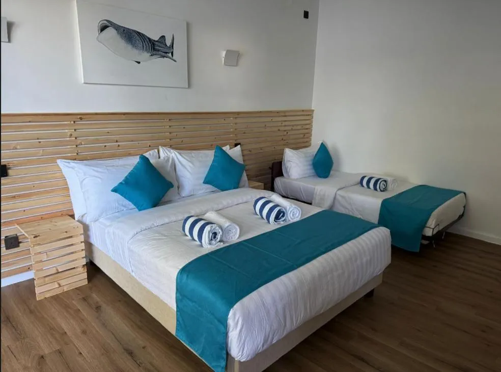 Swimming pool, Bed in Whale Shark Boutique