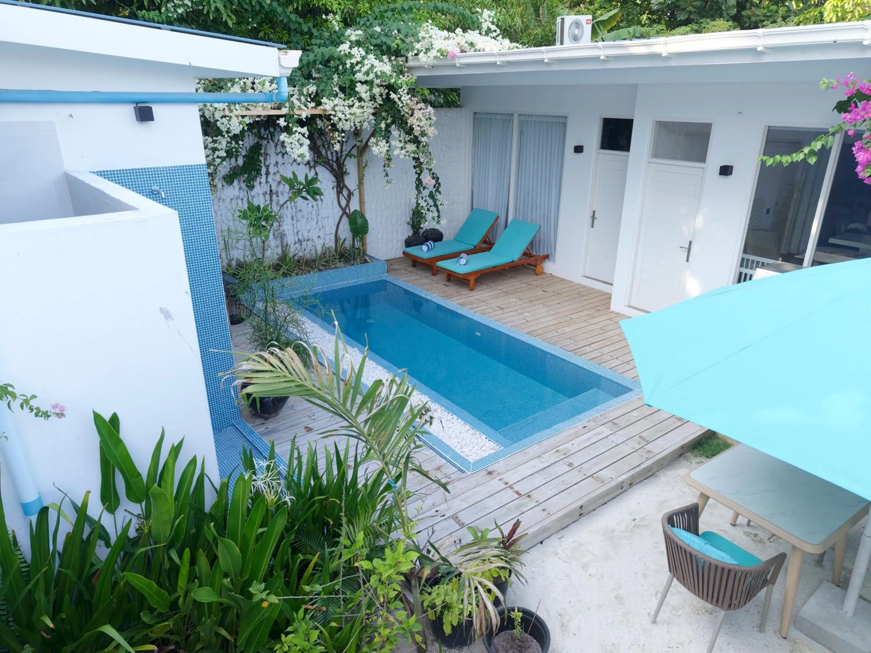 Swimming pool in Whale Shark Boutique