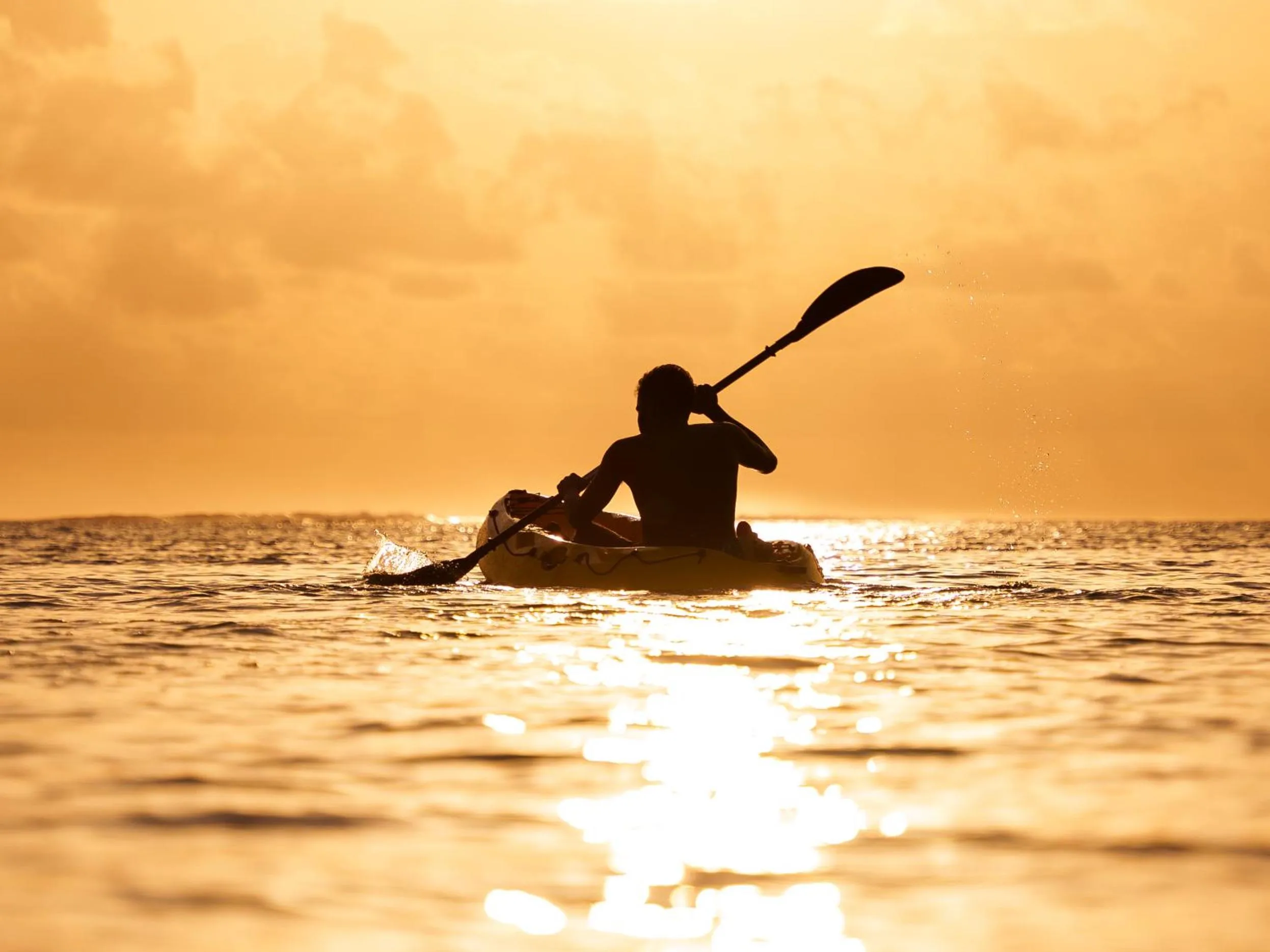Natural landscape in Whale Shark Boutique