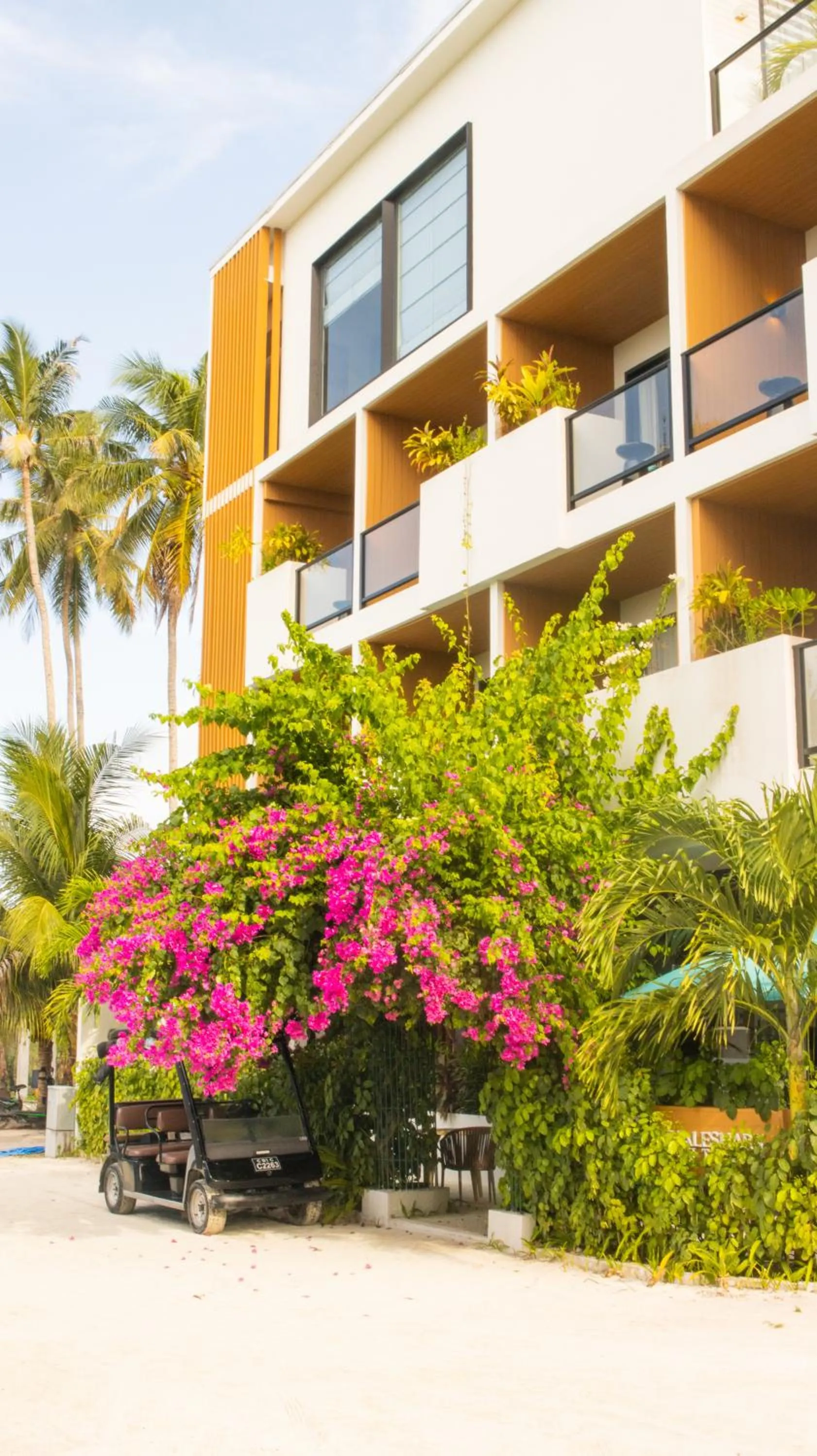 Property building in Whale Shark Boutique