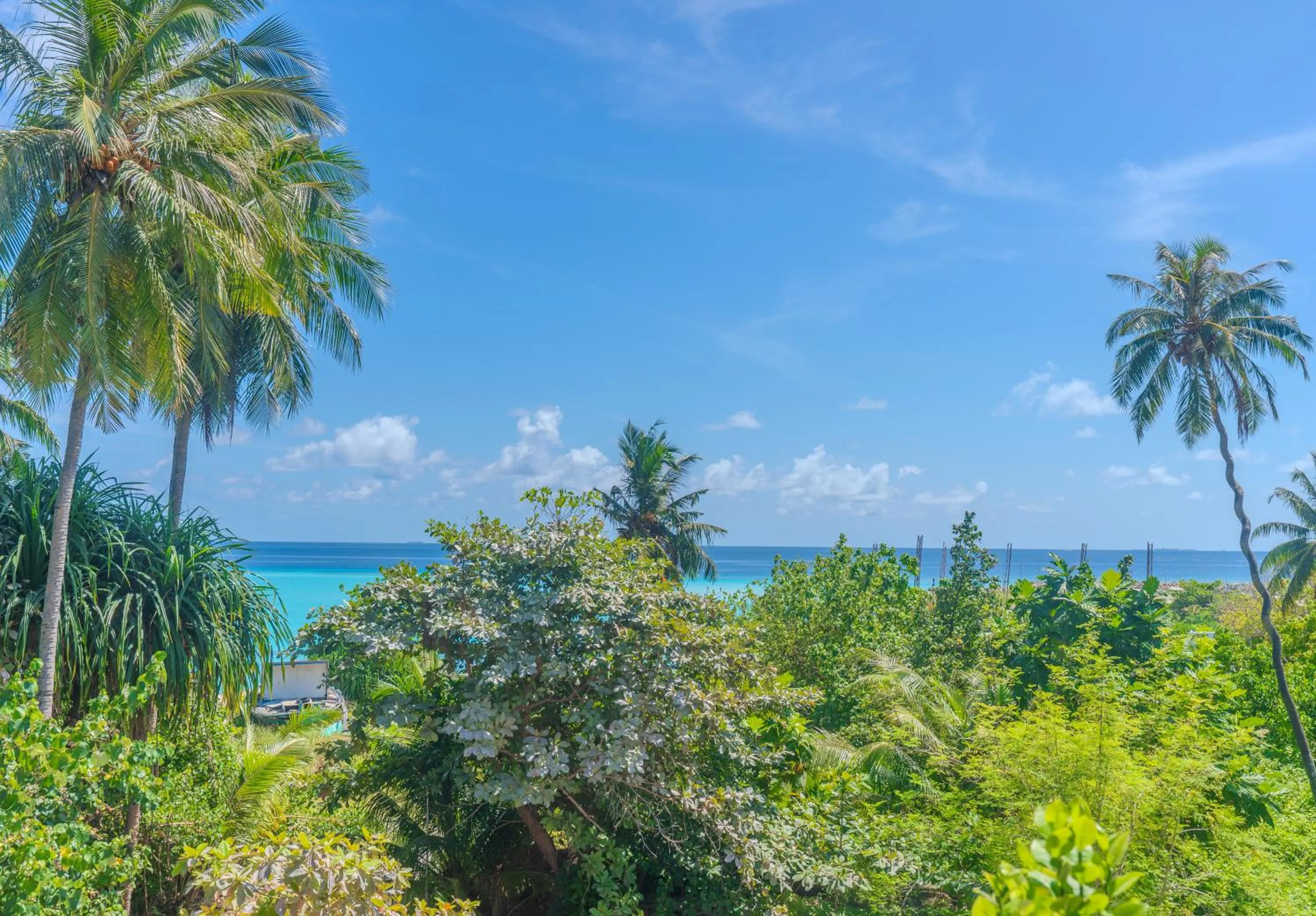 Beach in Whale Shark Boutique