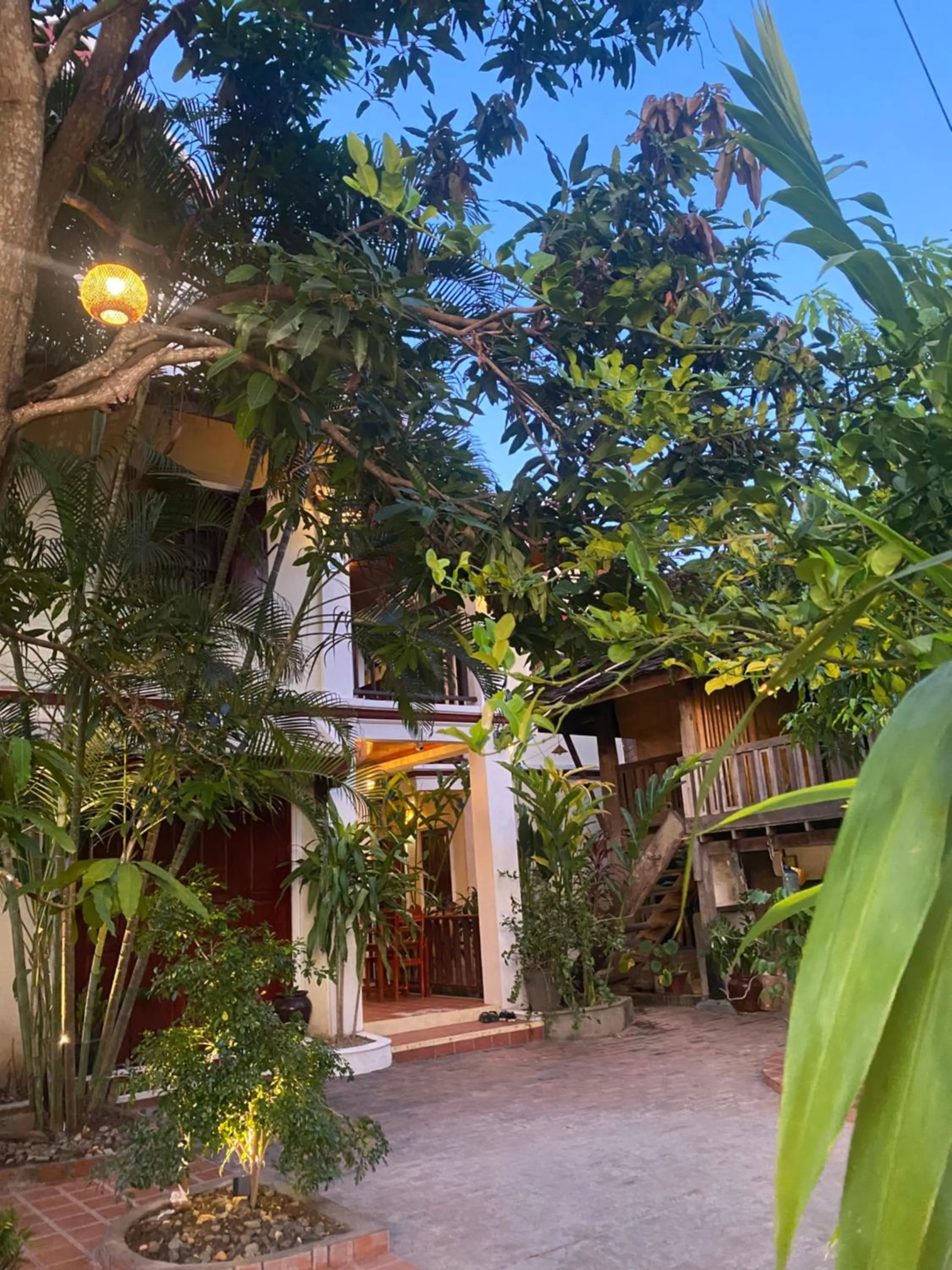 Garden in Golden Sun Hotel