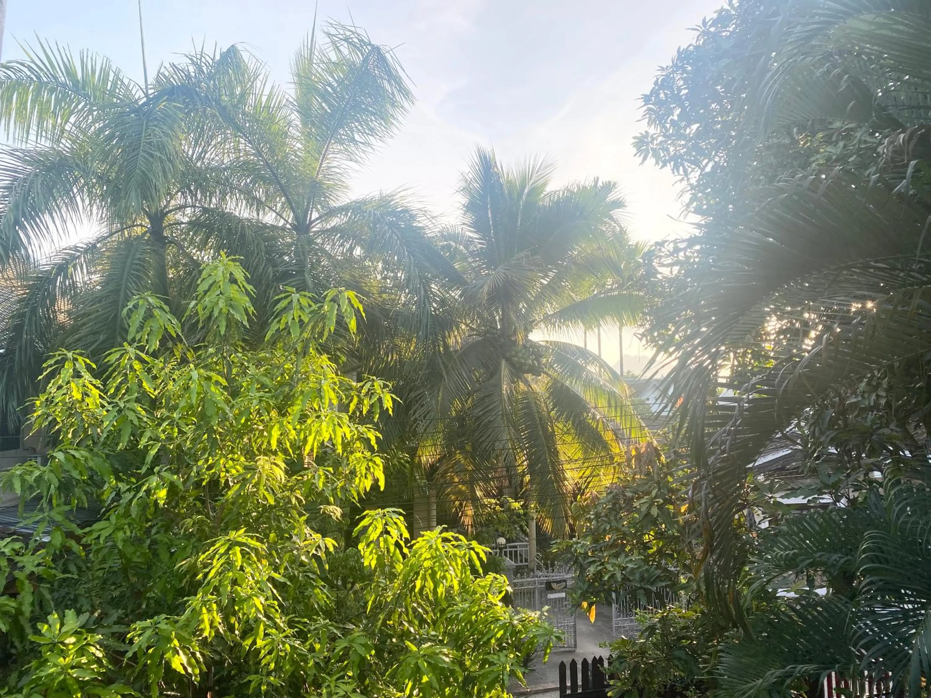 Garden view in Golden Sun Hotel