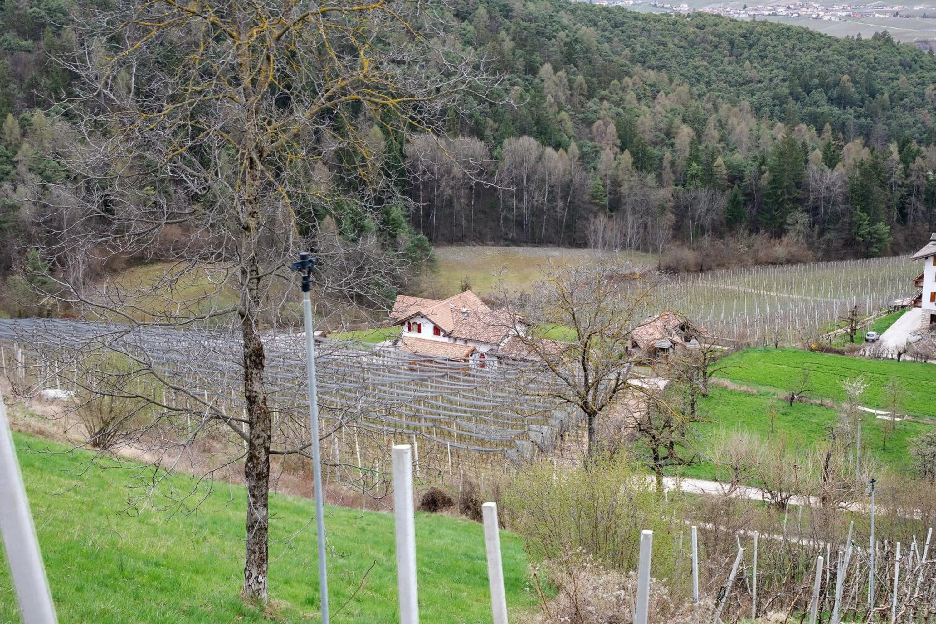 Property building in Agriturismo Alpenvidehof