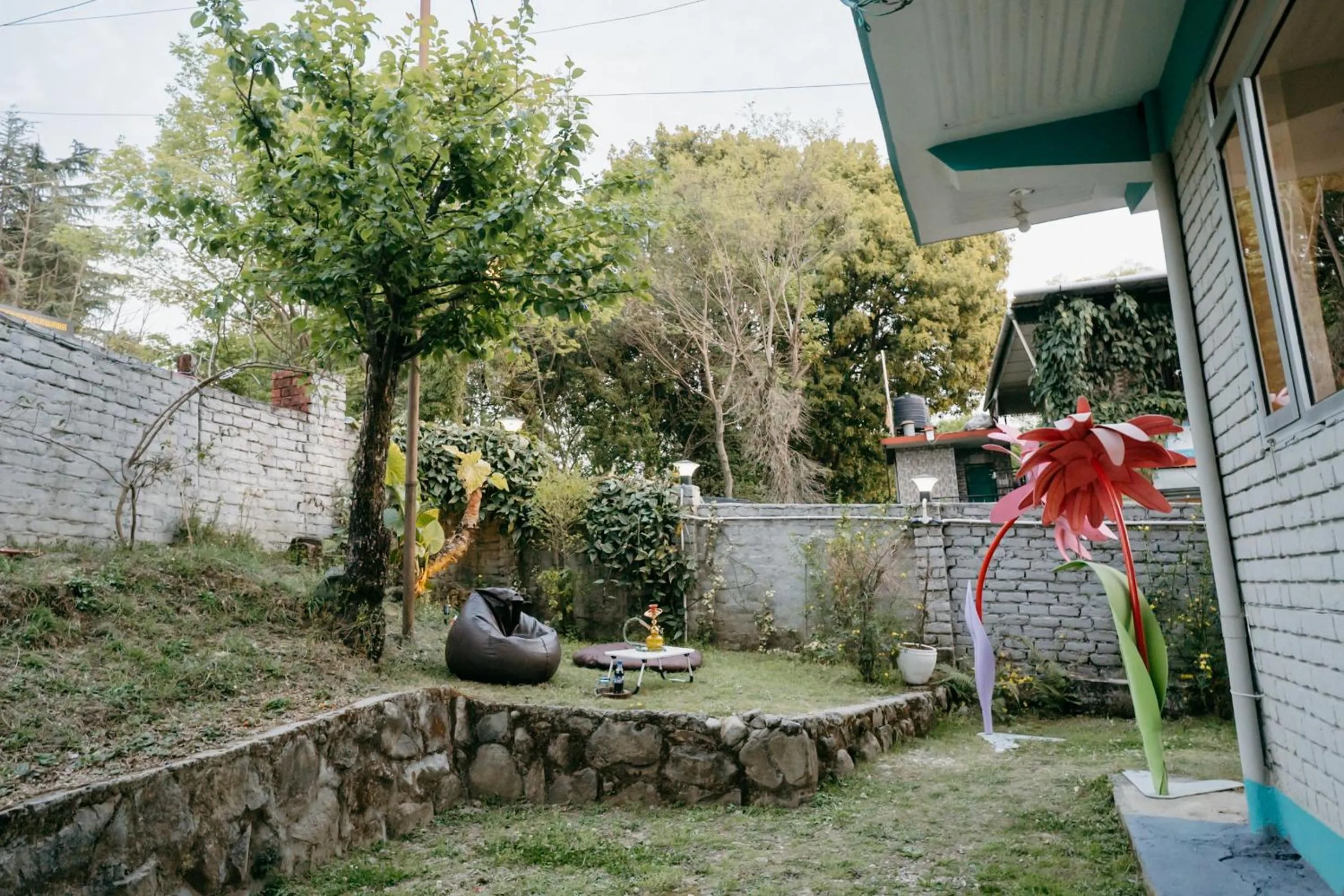 Garden in The Hood