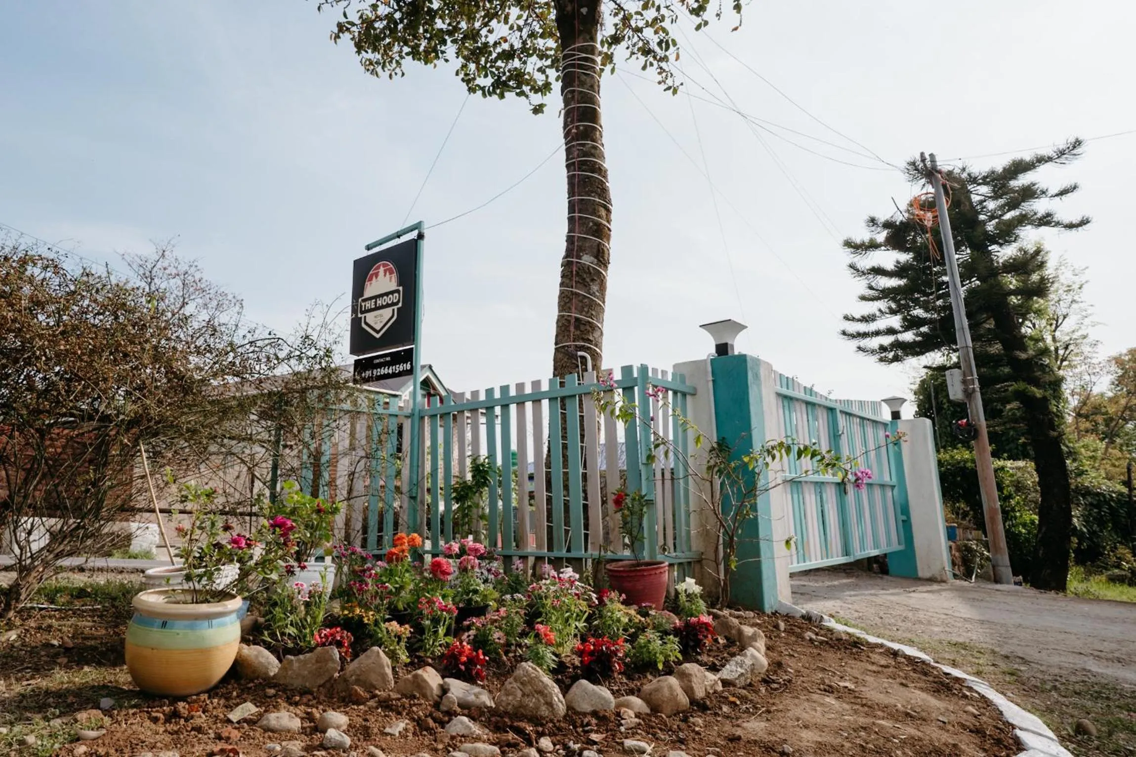 Garden in The Hood