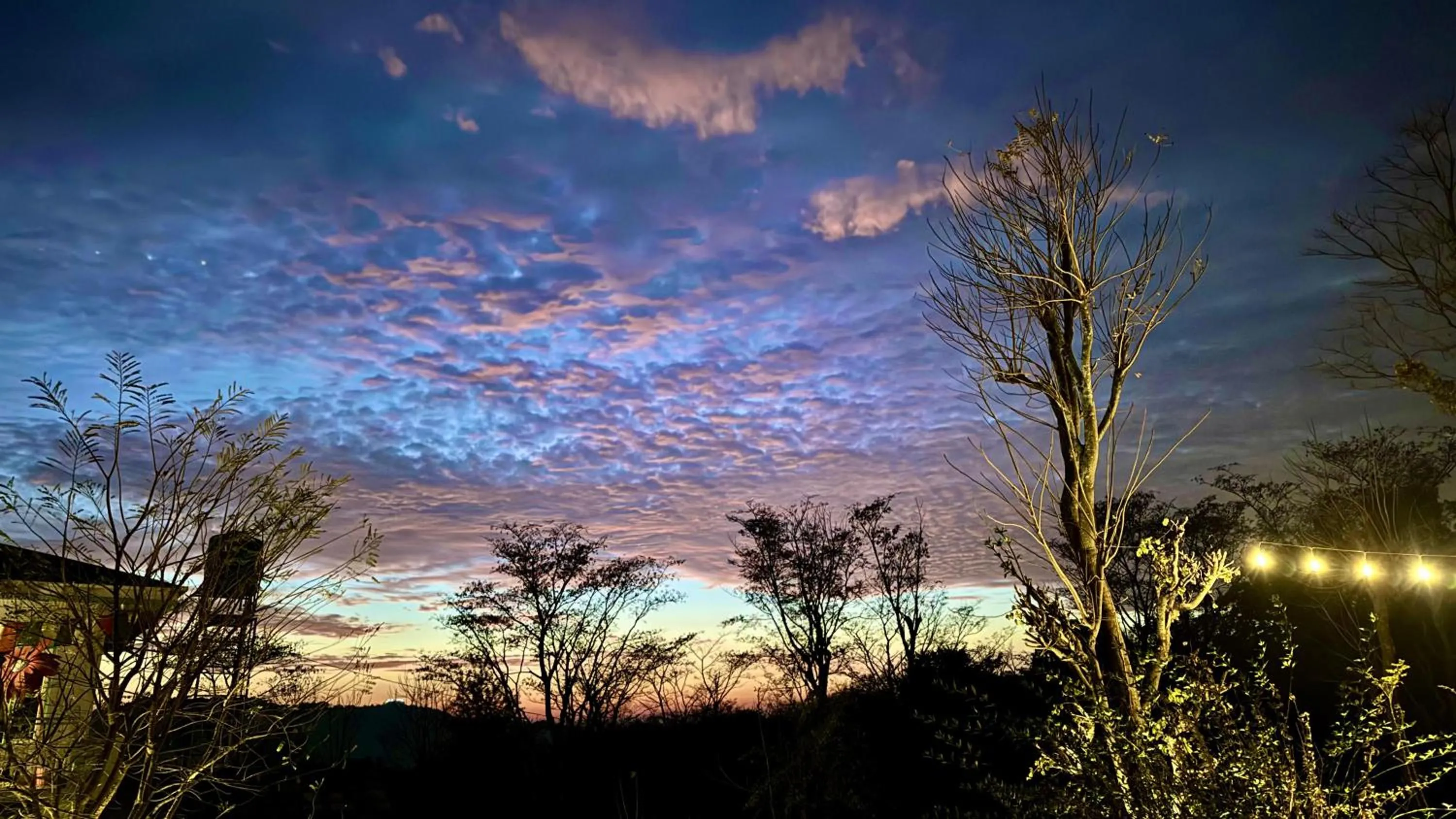 View (from property/room) in The Hood