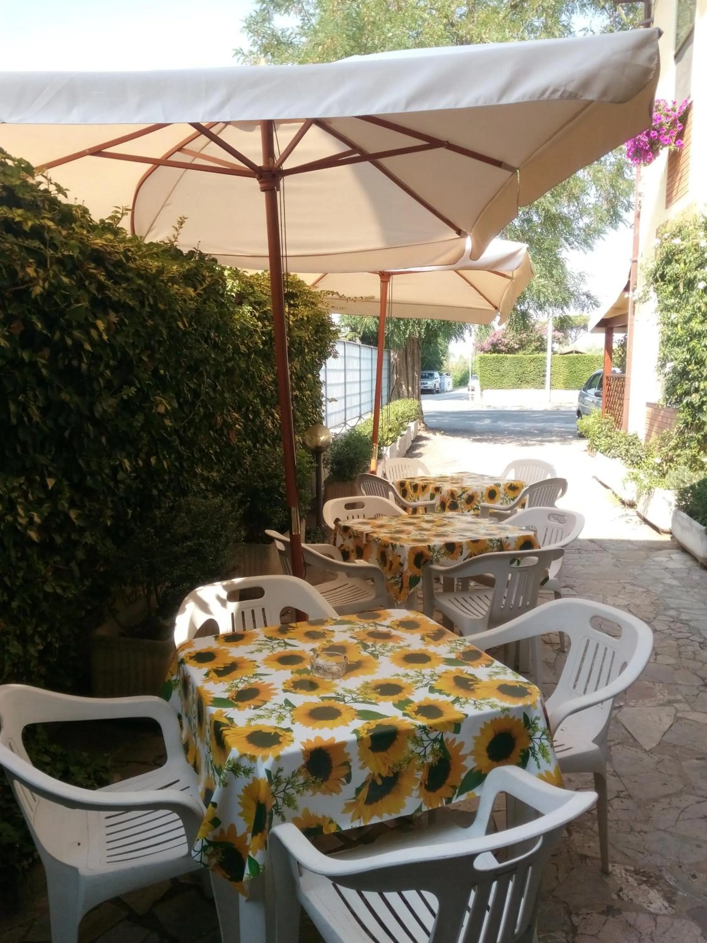 Patio in Hotel Lea