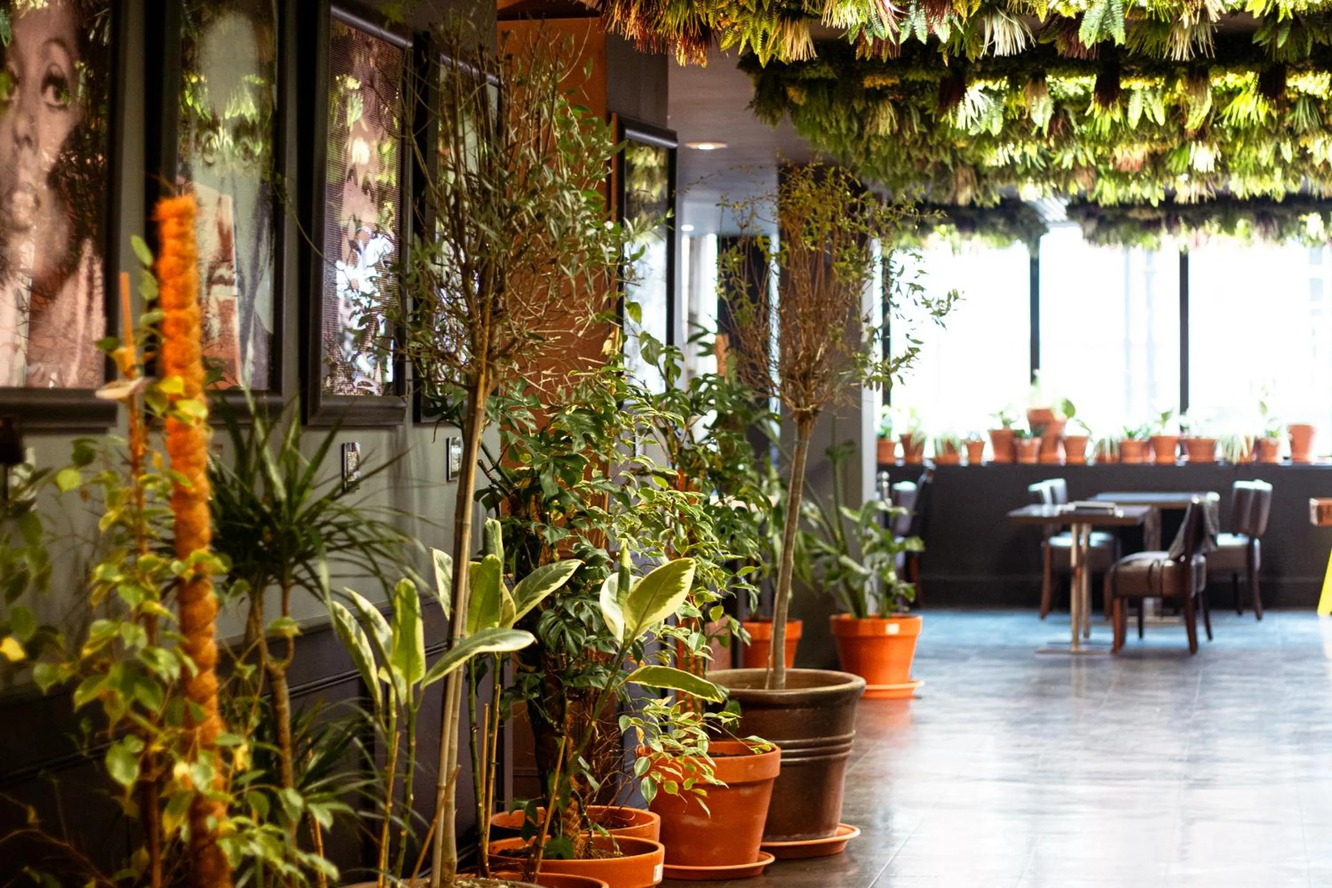 Restaurant/places to eat in St Giles London – A St Giles Hotel