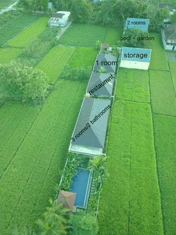 Bird's eye view in Rosseno Villa