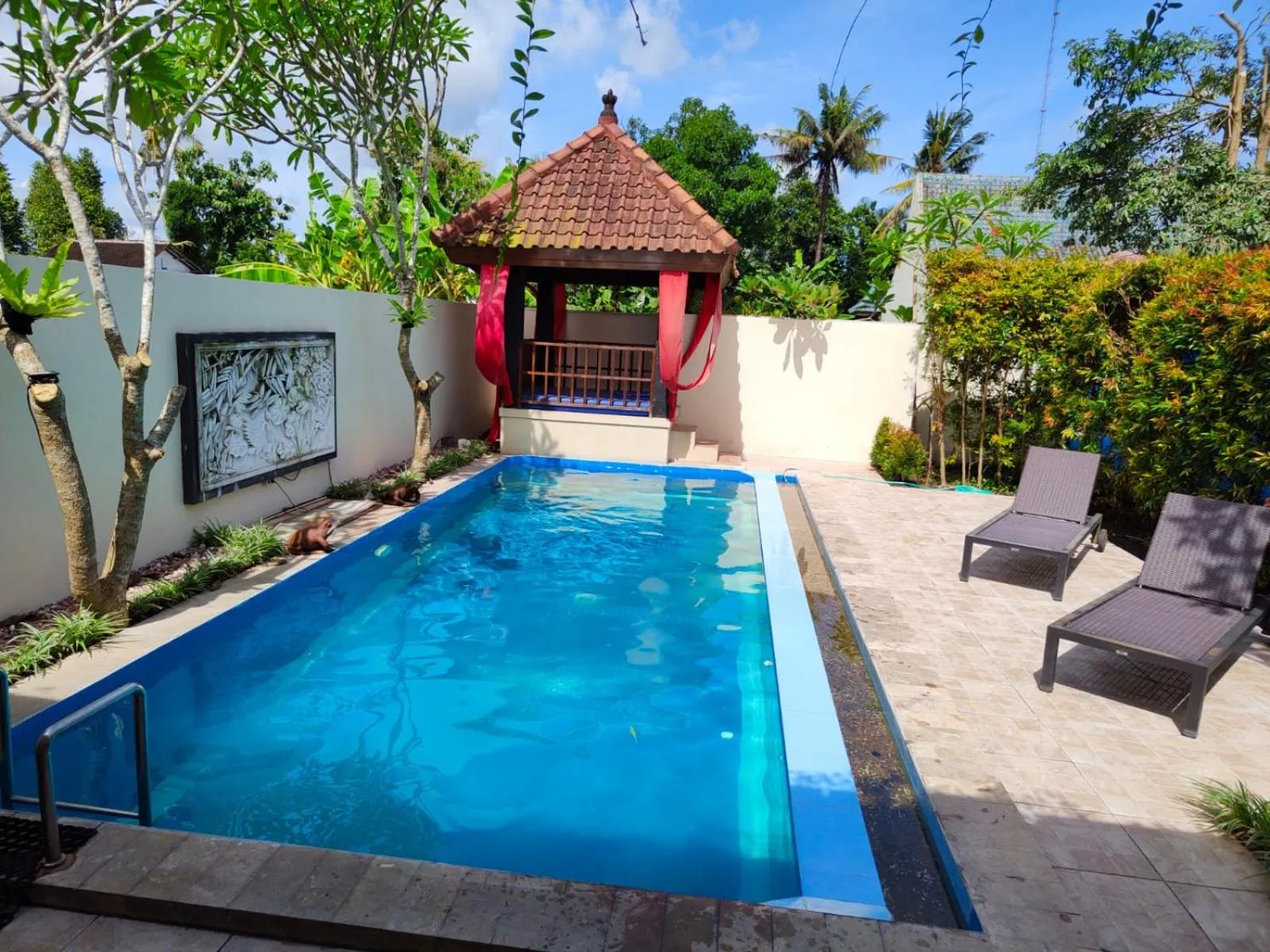 Swimming pool in Rosseno Villa