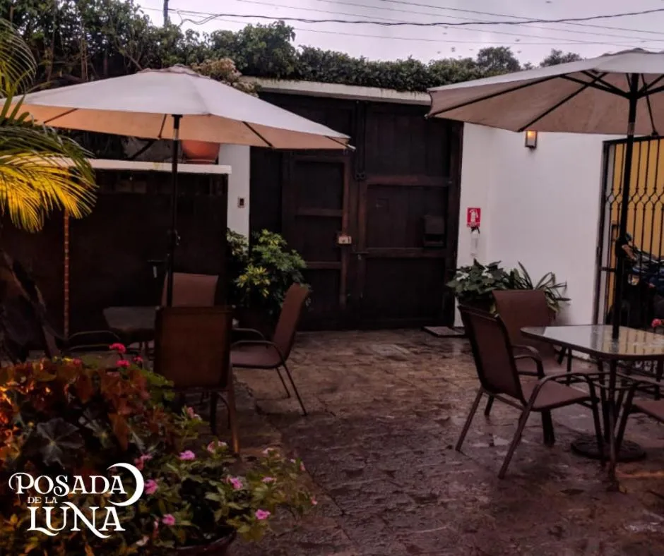 Garden in Hotel Posada de la Luna