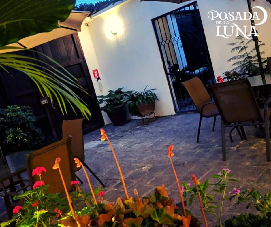 Patio in Hotel Posada de la Luna