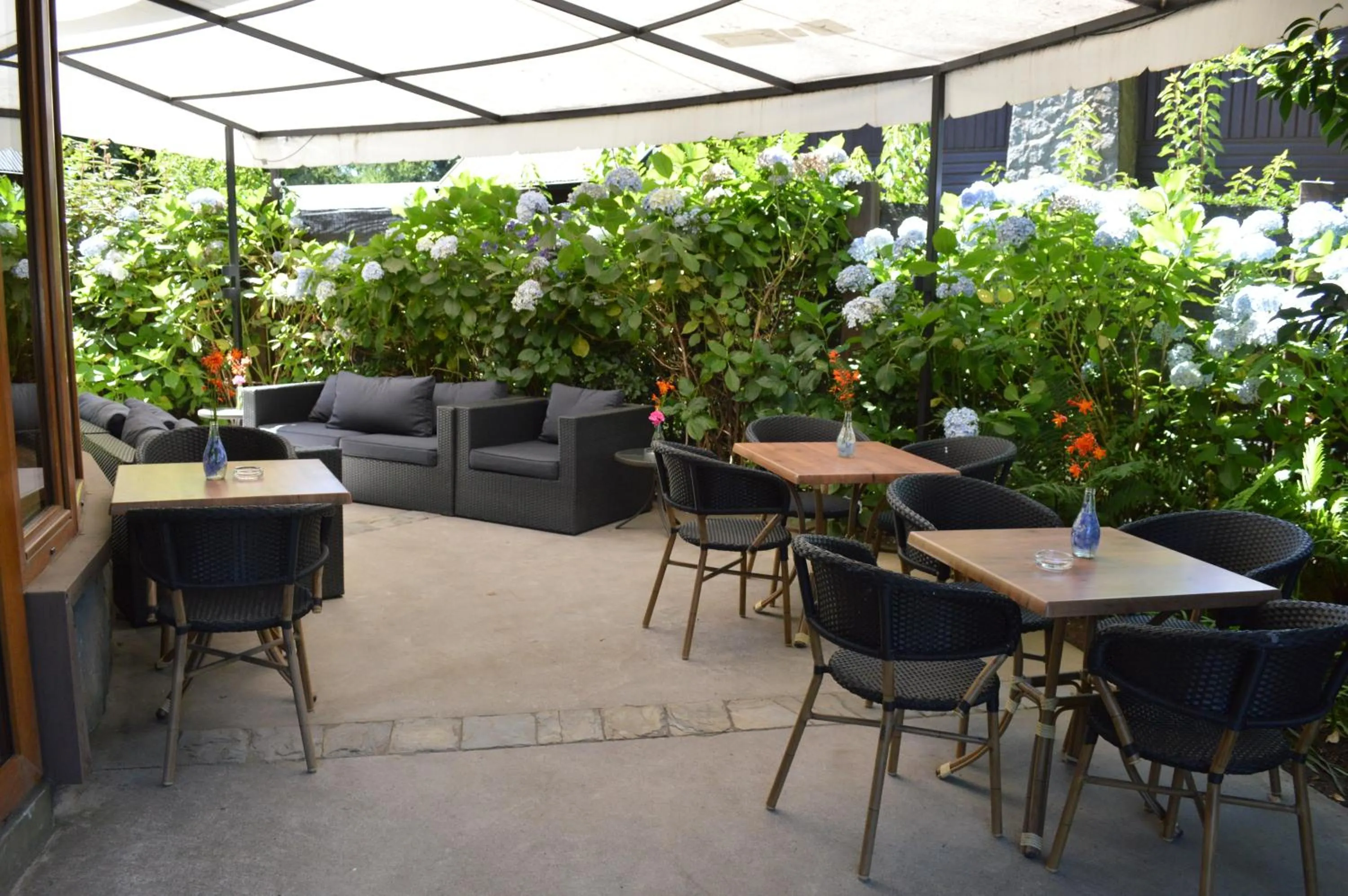 Lounge or bar in Cocurantu Hotel Boutique