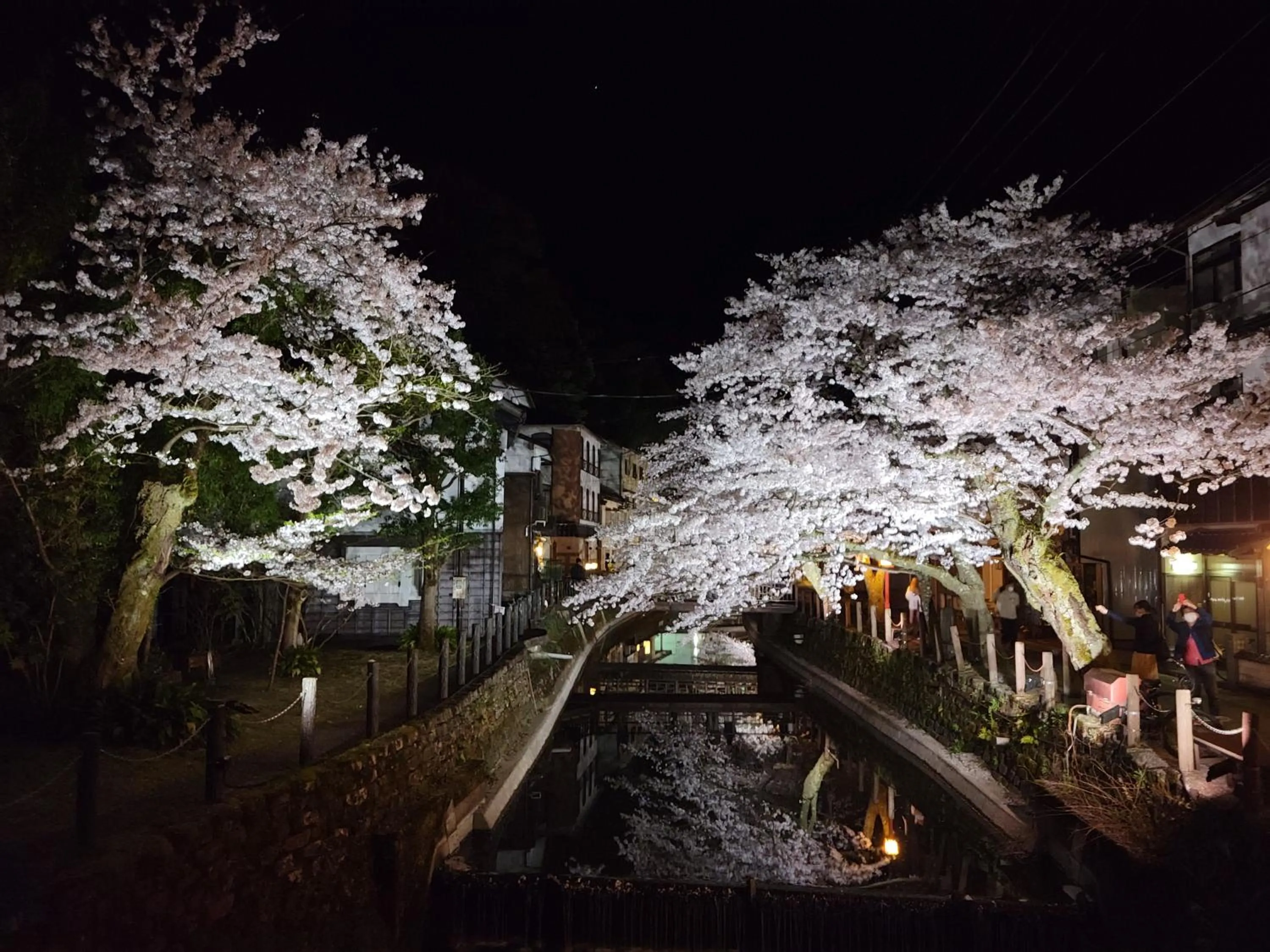 Spring in Tsukimotoya Ryokan