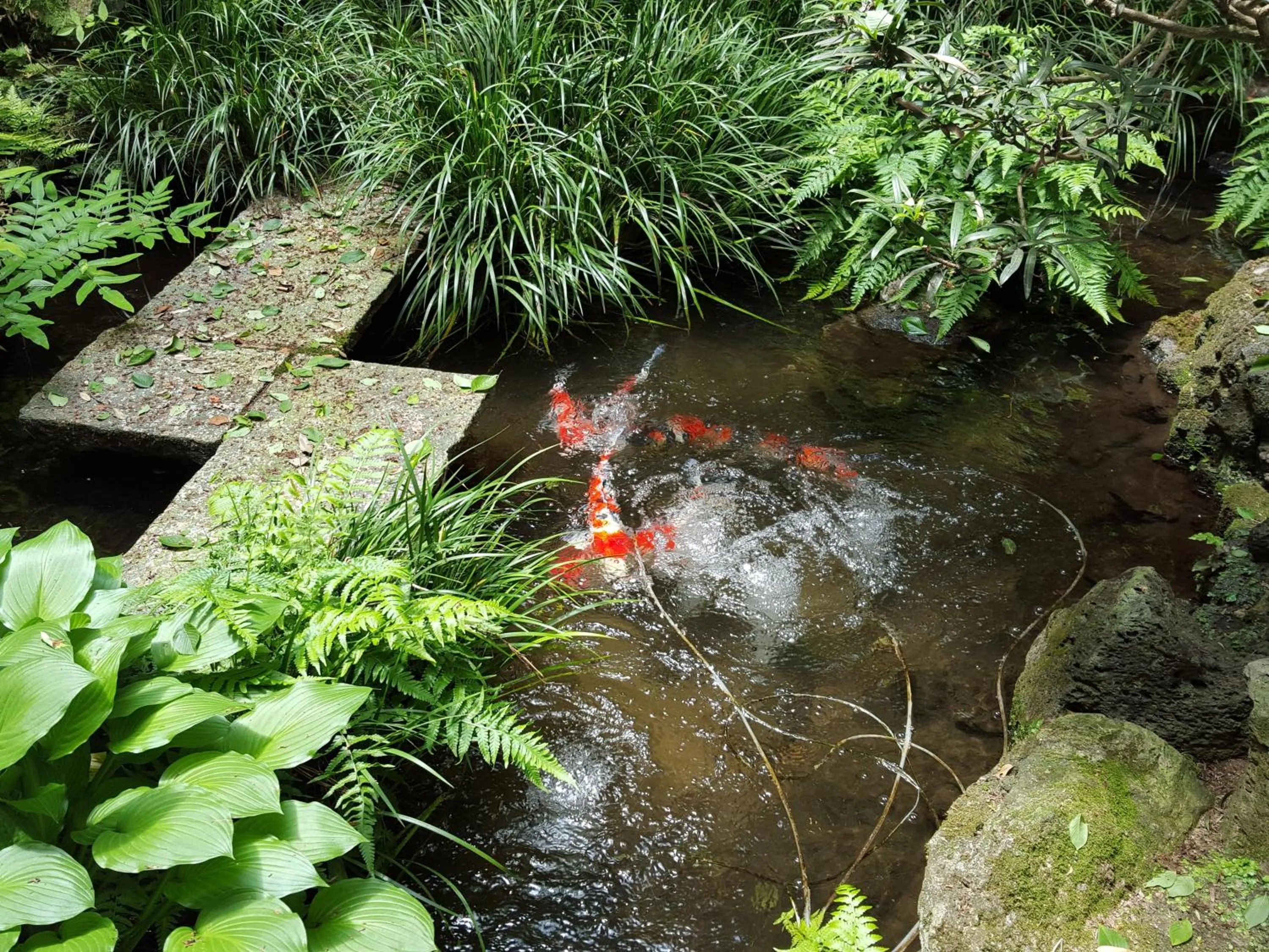 Garden in Tsukimotoya Ryokan