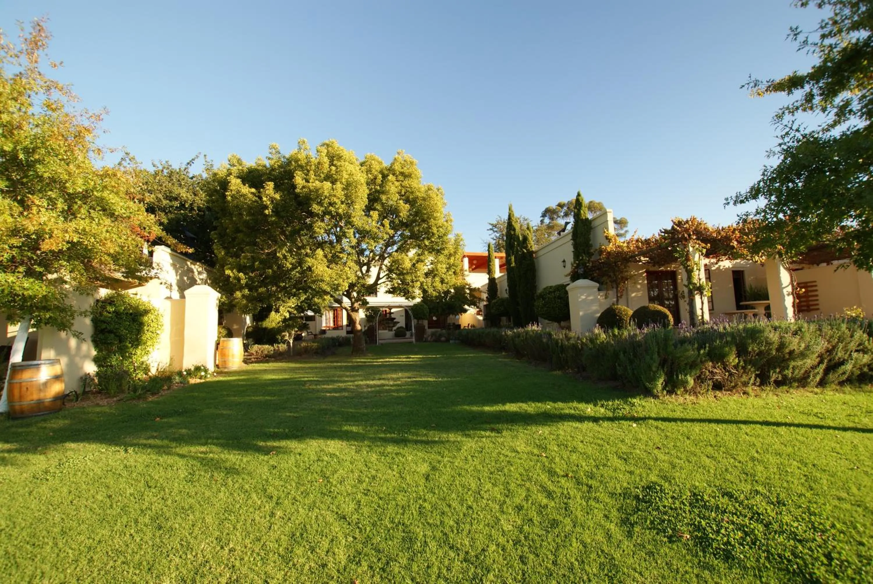 Garden in Cultivar Boutique Hotel