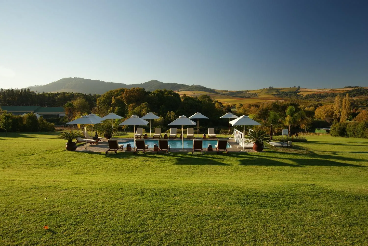 Swimming pool in Cultivar Boutique Hotel