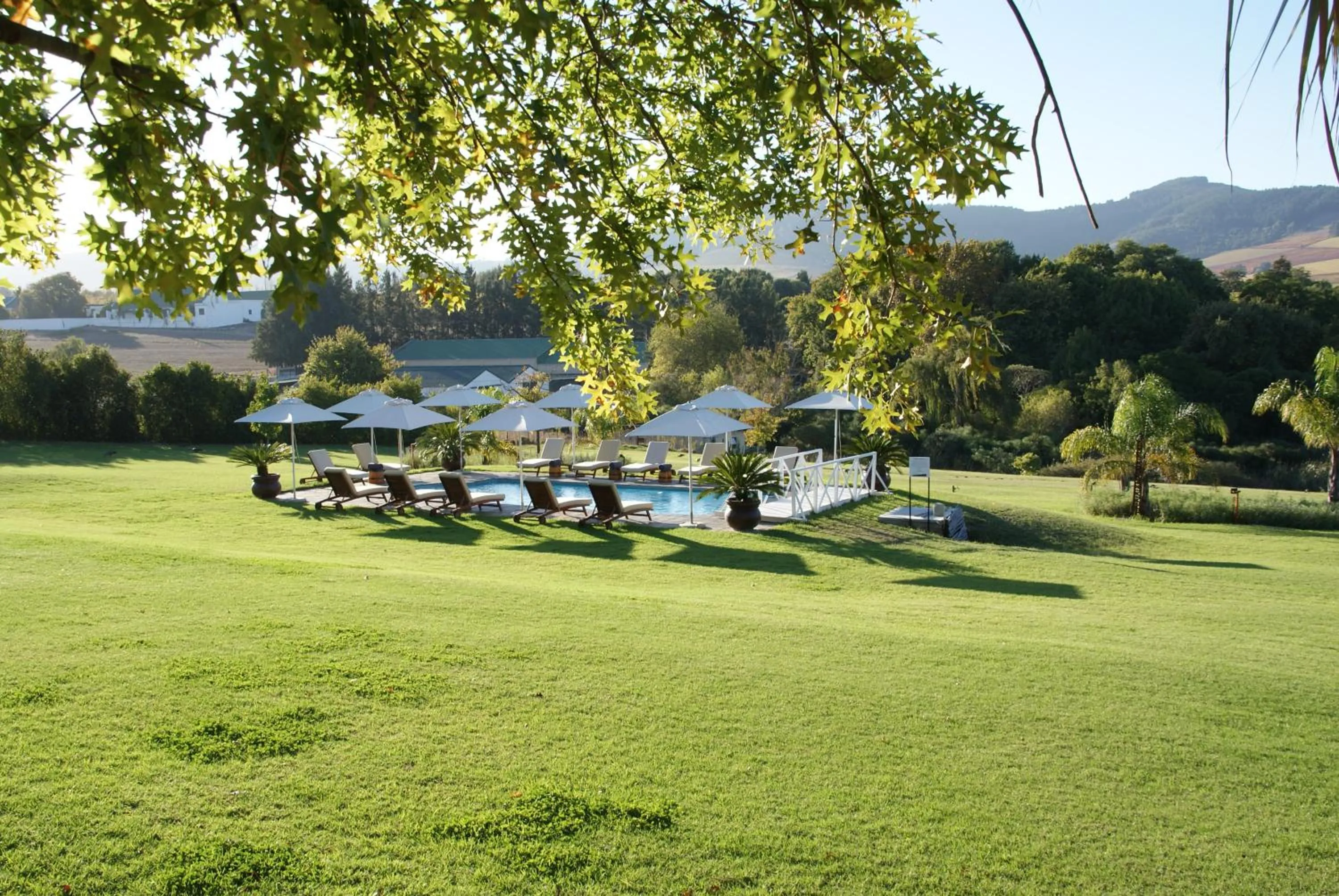 Spring in Cultivar Boutique Hotel