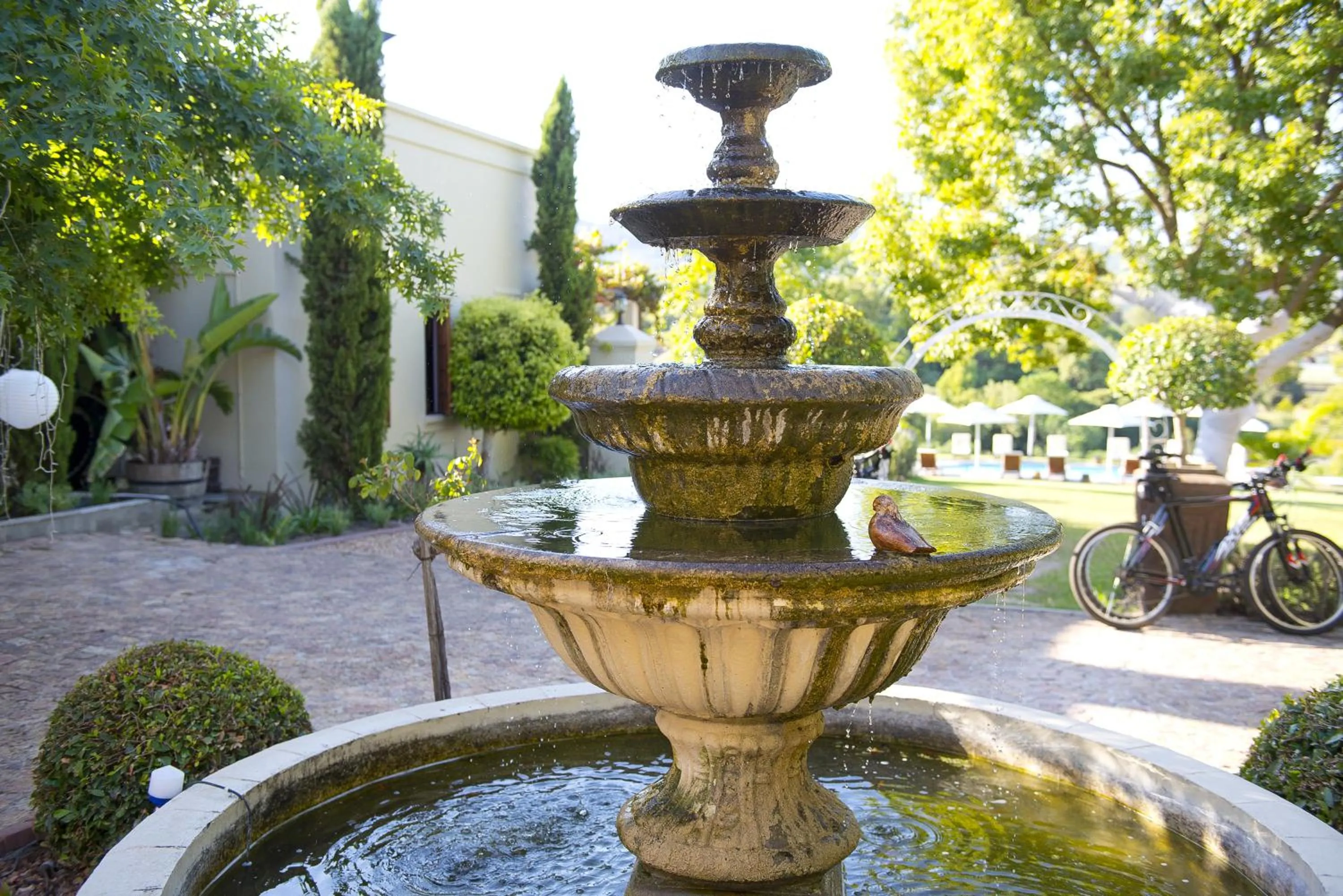 Patio in Cultivar Boutique Hotel