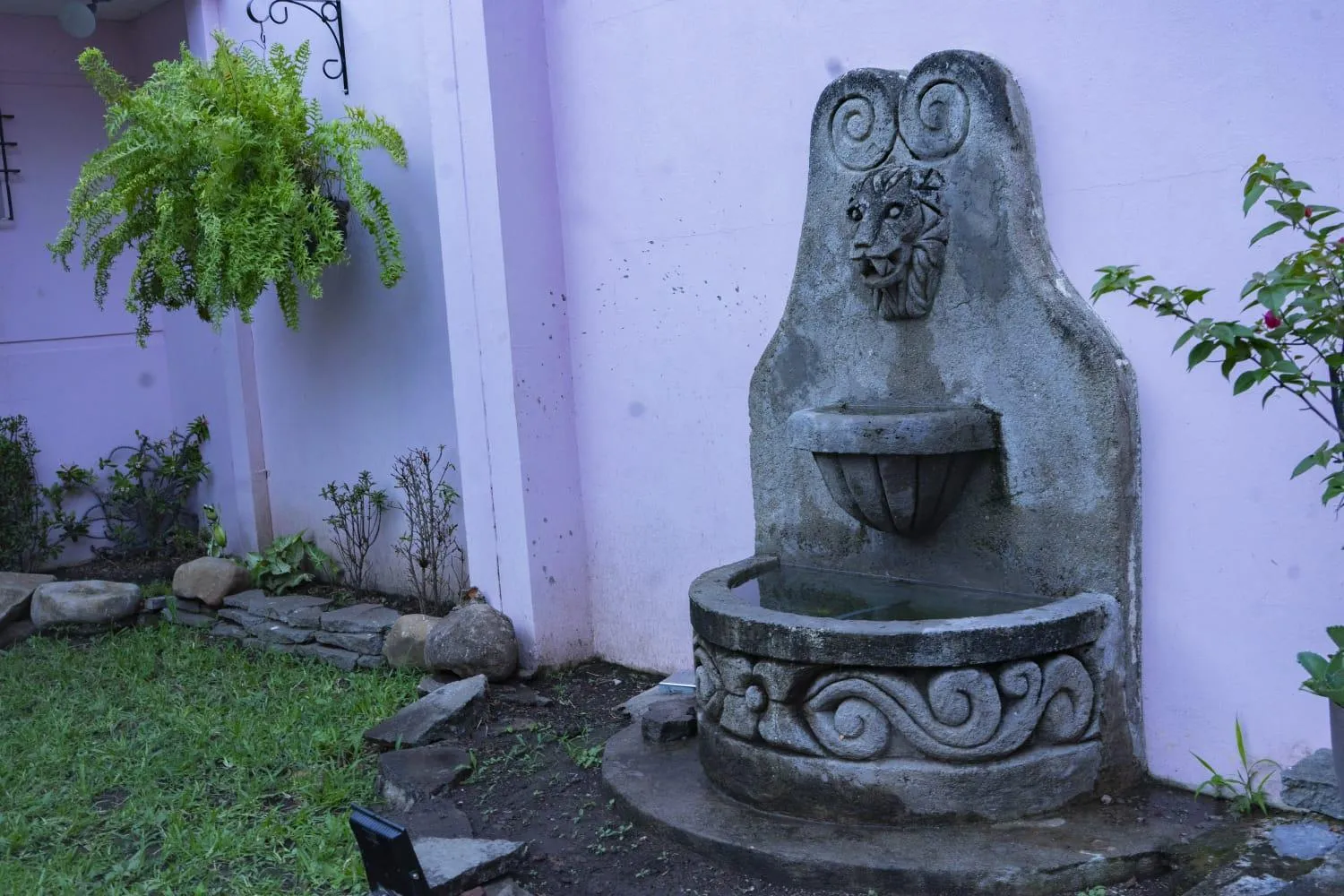 Garden in Hostal Casa Luna