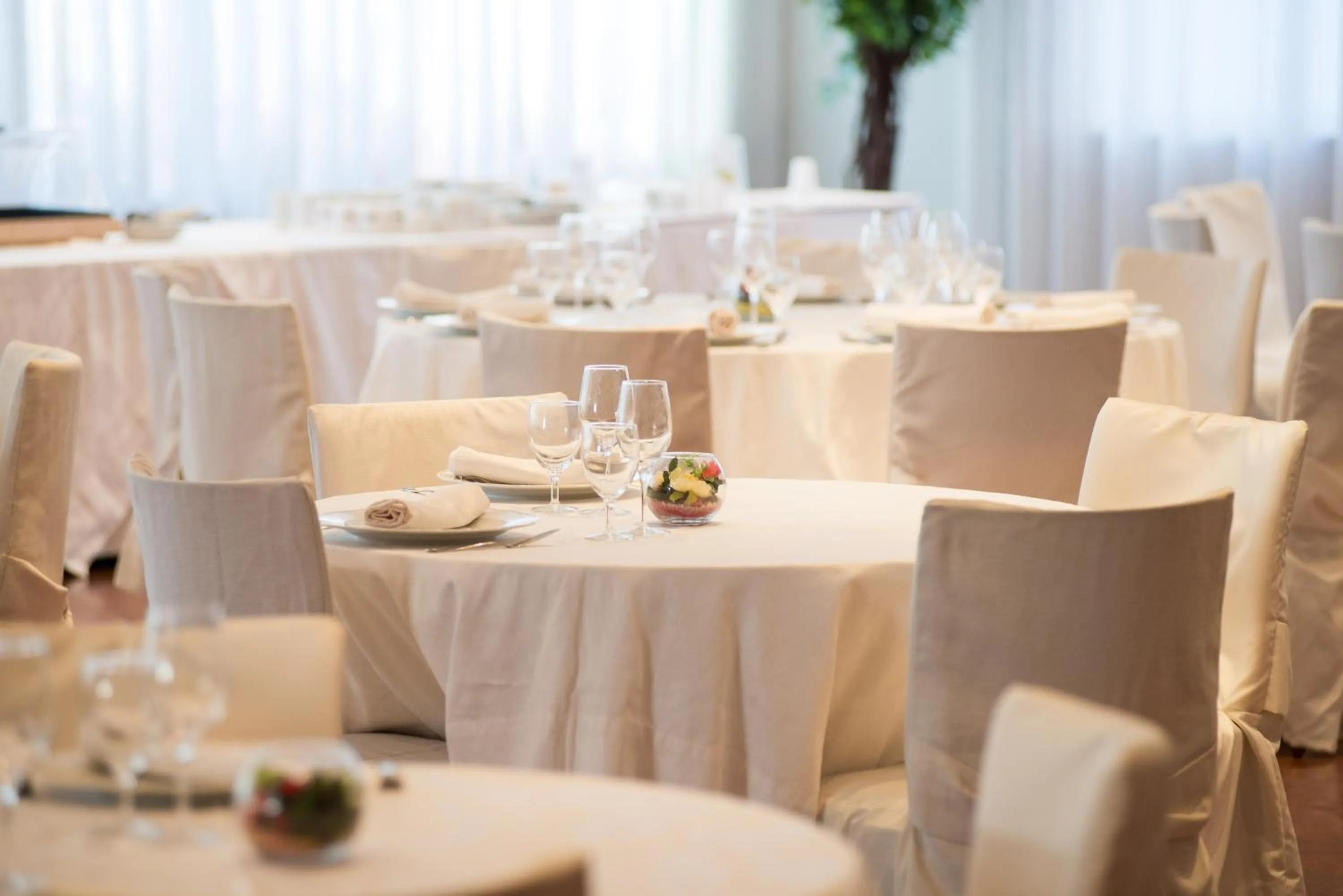 Restaurant/places to eat in Hotel San Francesco