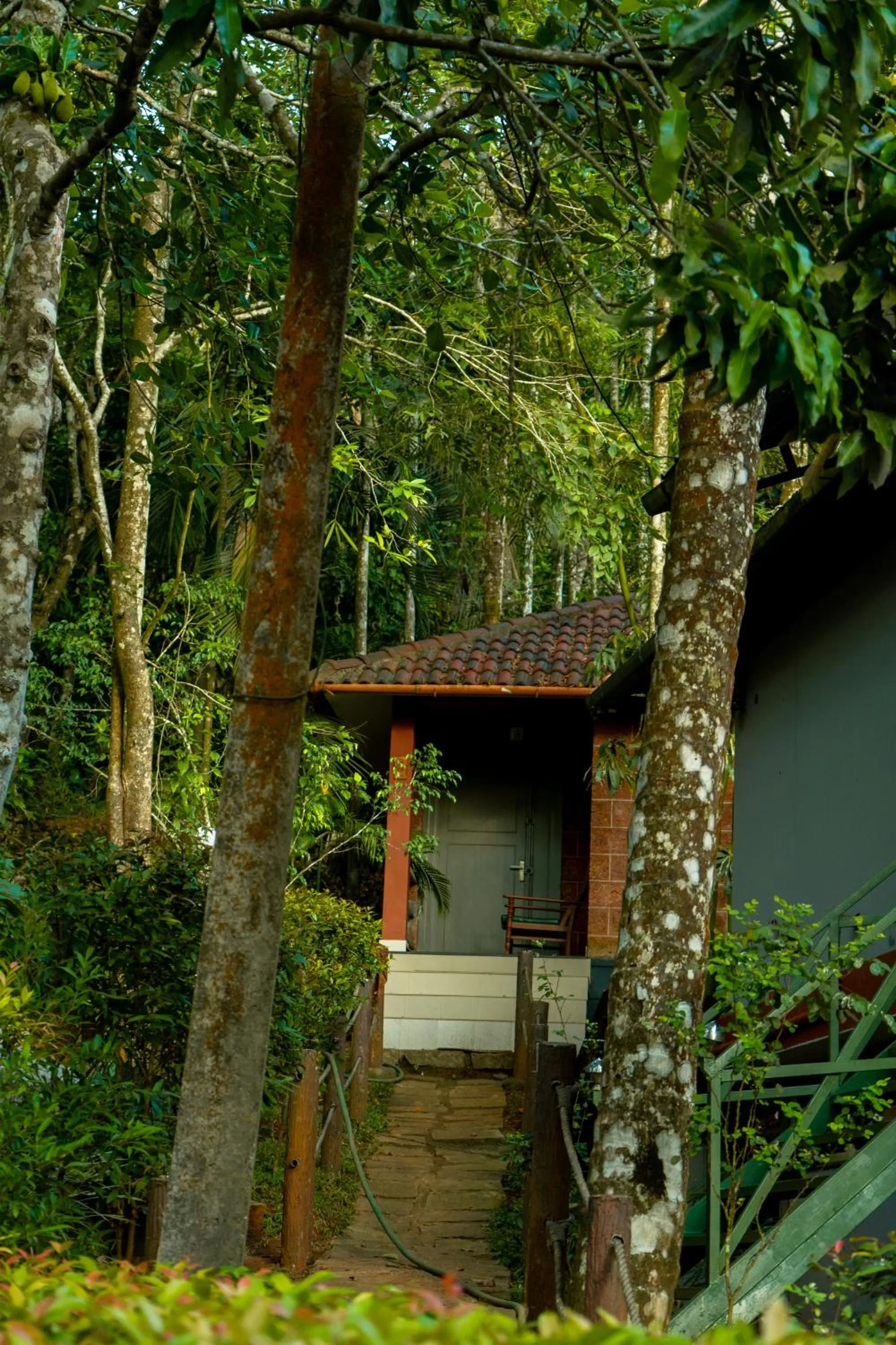 Property building in Wayanad Ranches Resorts
