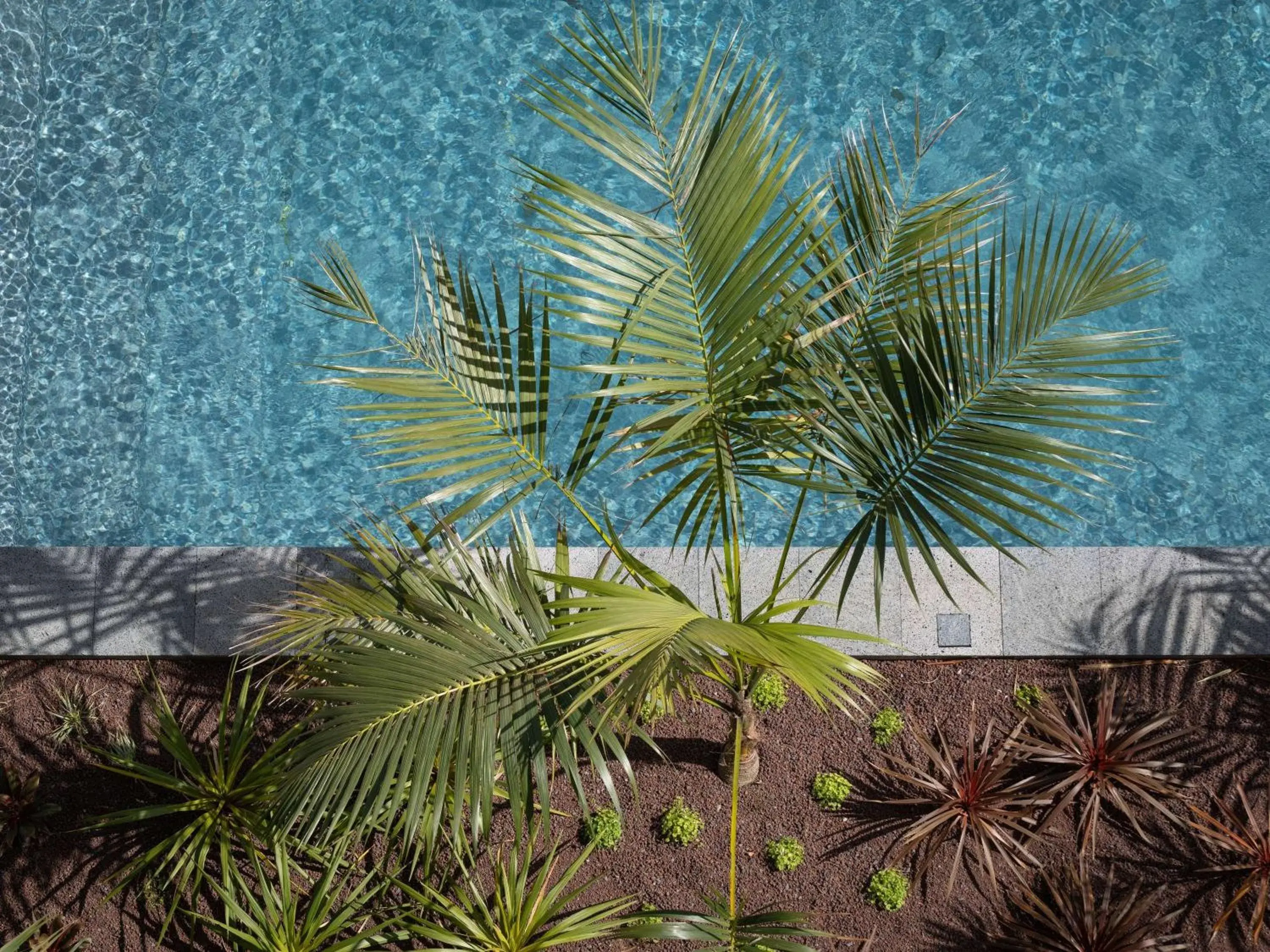 Pool view in Mercure Ponta Delgada Azores Pool view in Mercure Ponta Delgada Azores