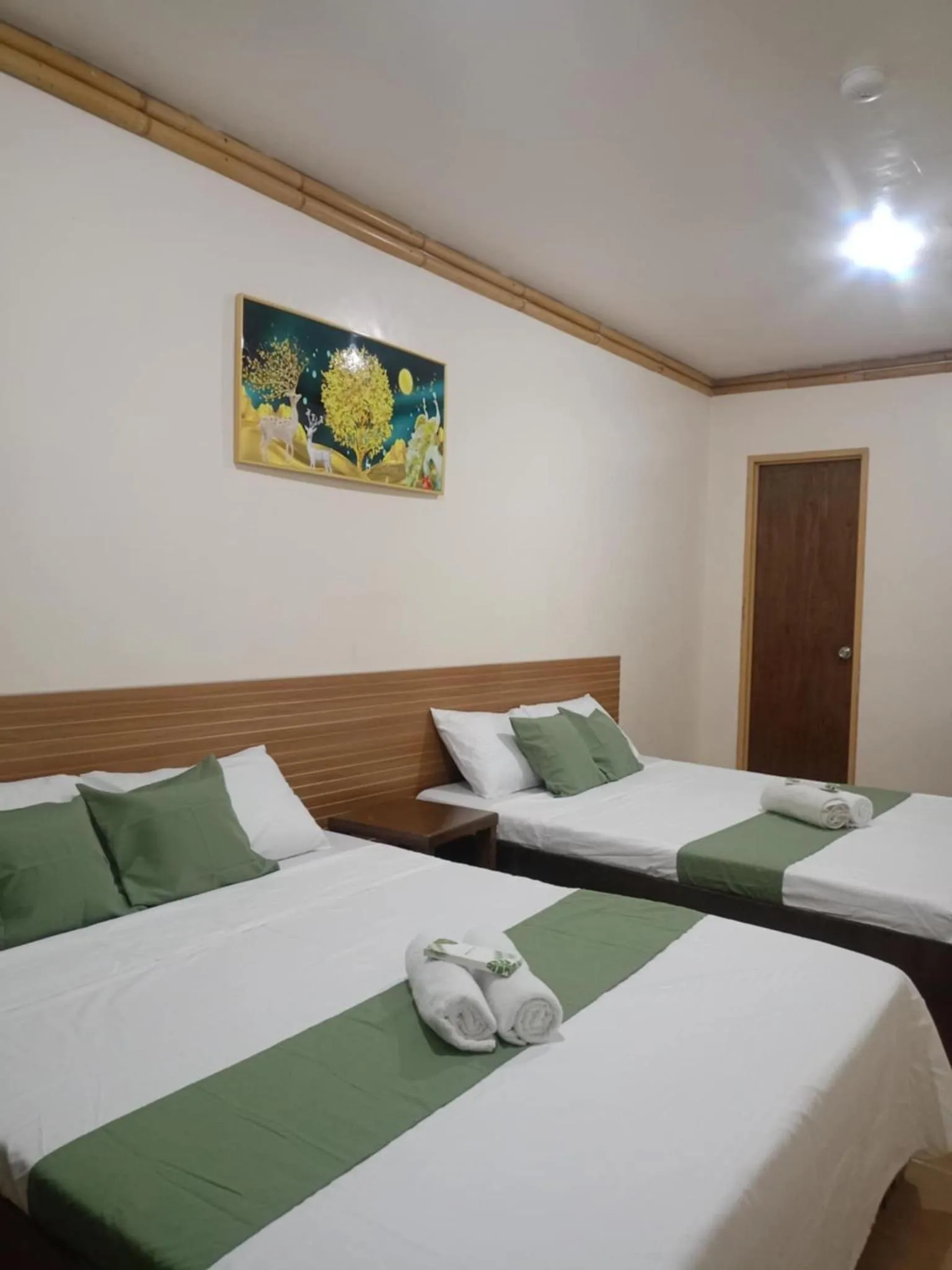 Photo of the whole room in Mendelluke Suites