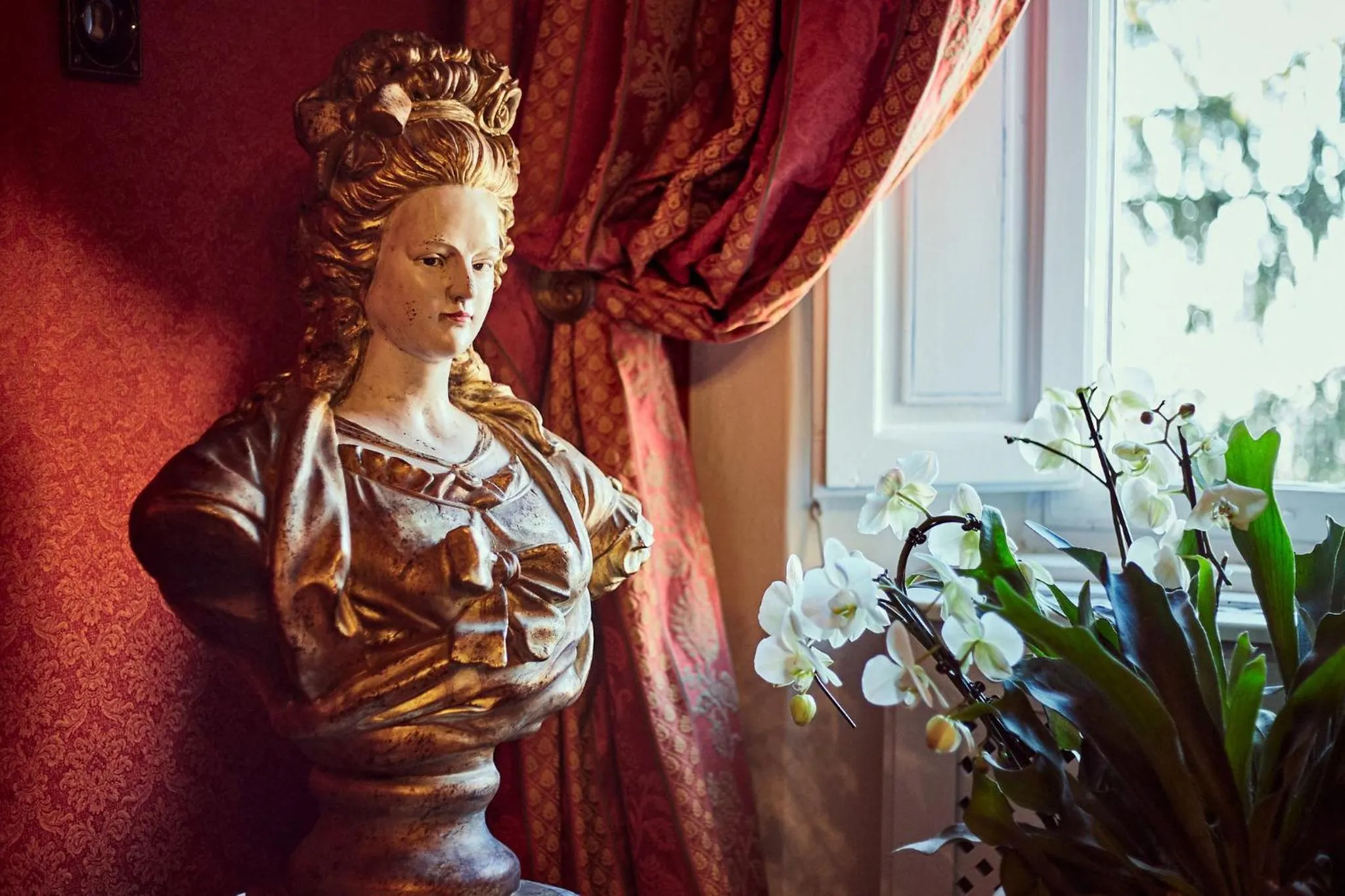 Decorative detail in Palazzo Nobile di San Donato - Historic Experience