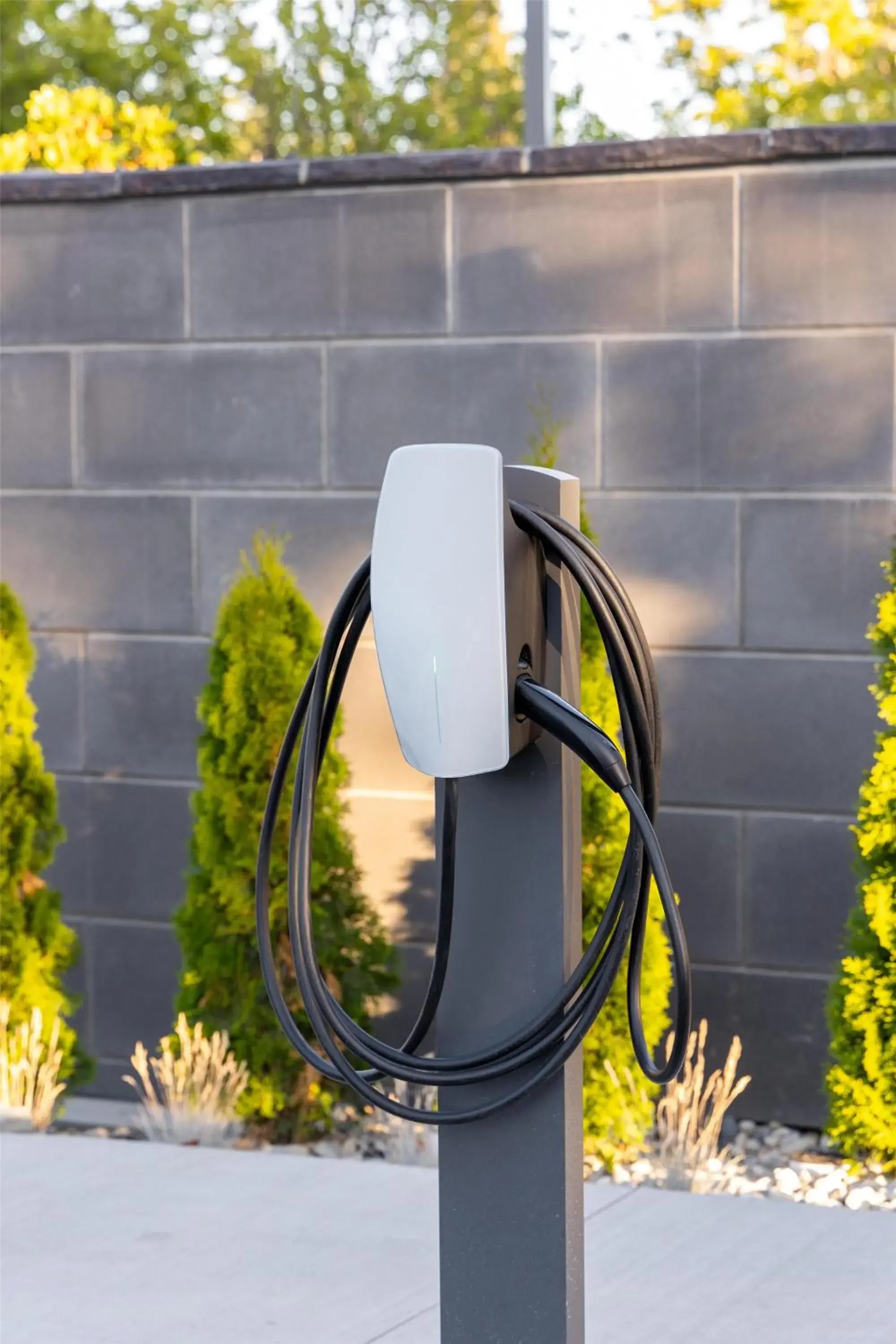 Property building in Hilton Garden Inn Walnut Creek Property building in Hilton Garden Inn Walnut Creek