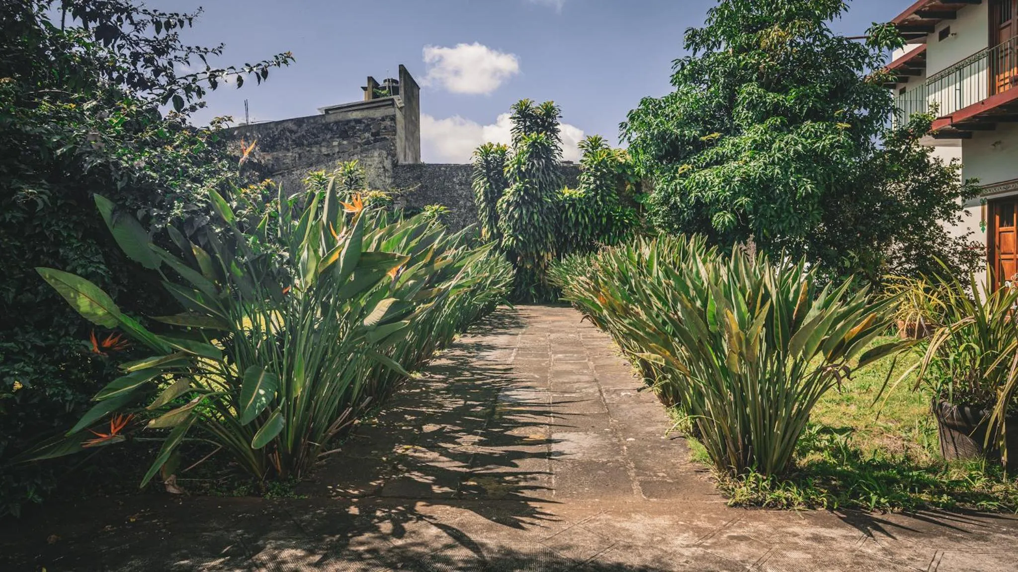 Property building in Hotel Montecillo