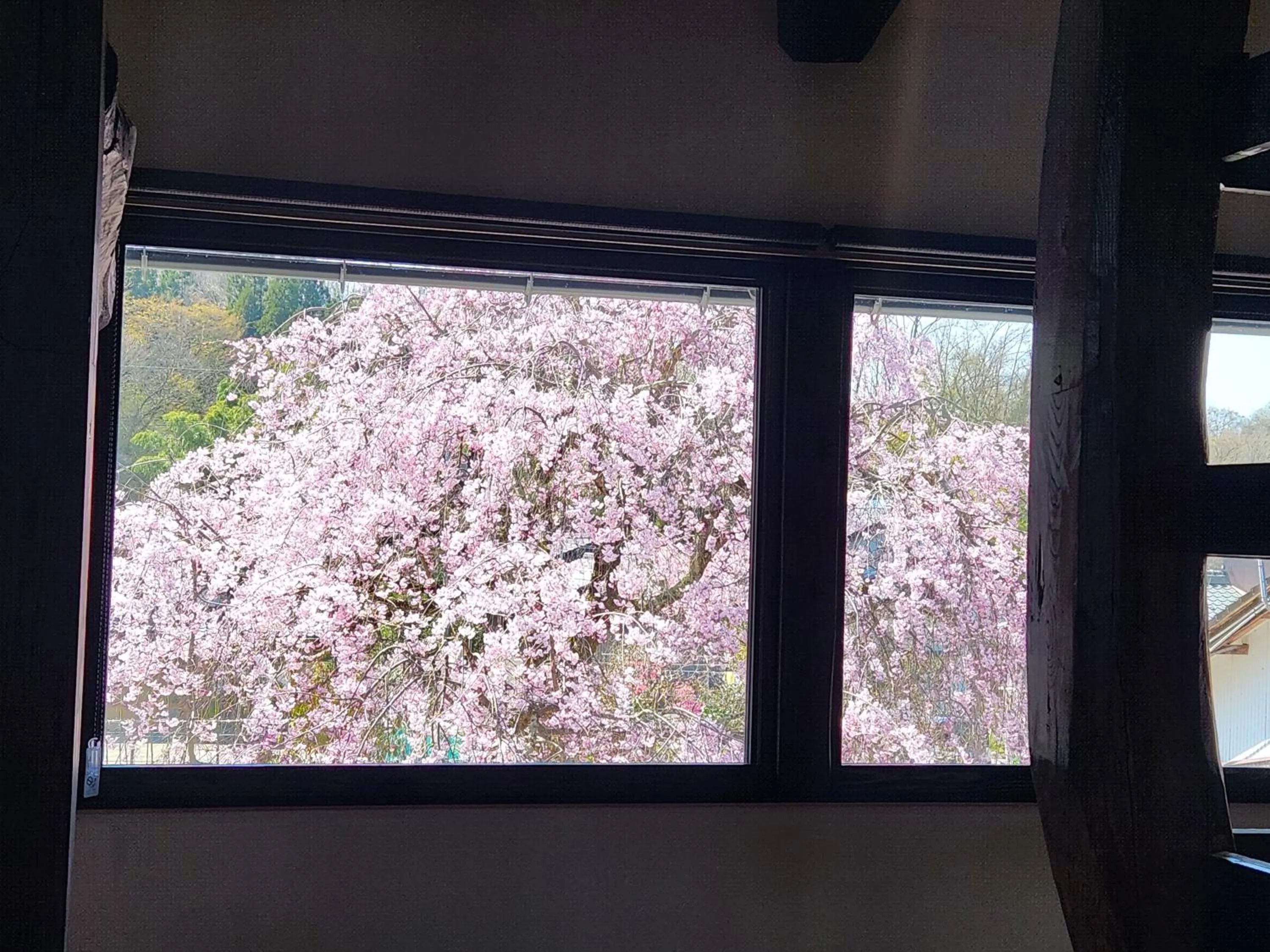 Spring in Onsen and Garden Nana