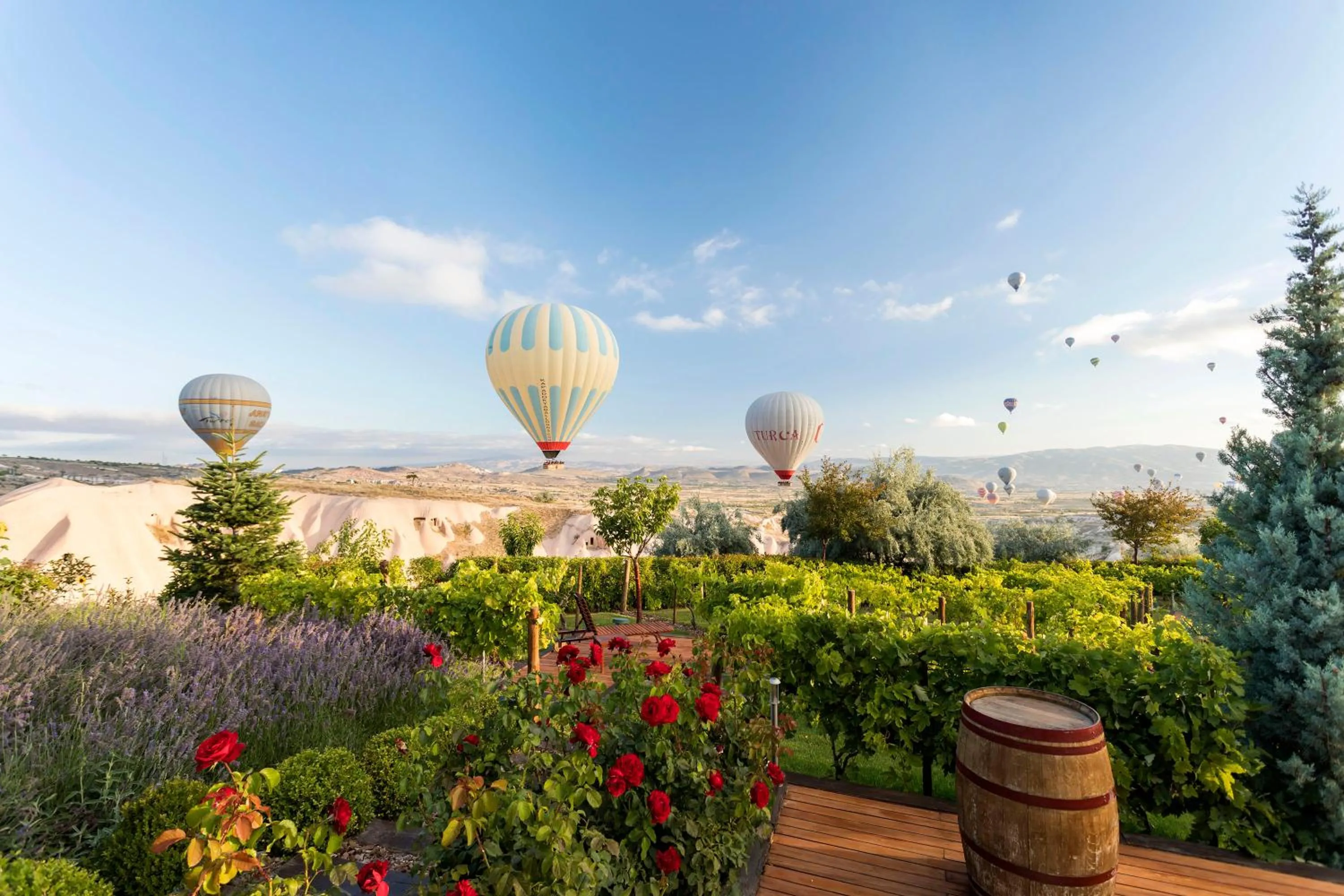 Area and facilities in Ariana Sustainable Luxury Lodge - Special Category - Cappadocia