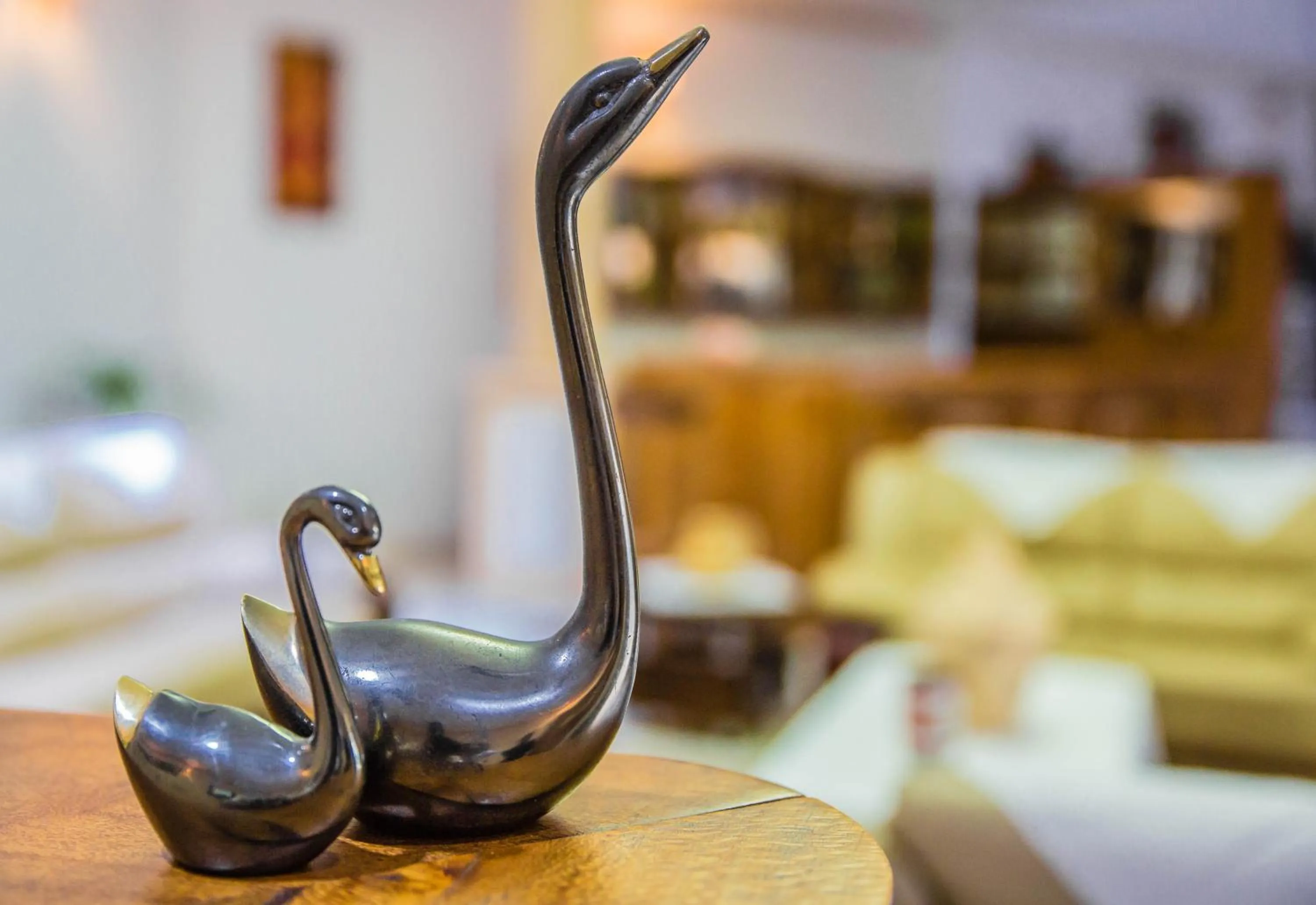 Mountain's View Hotel