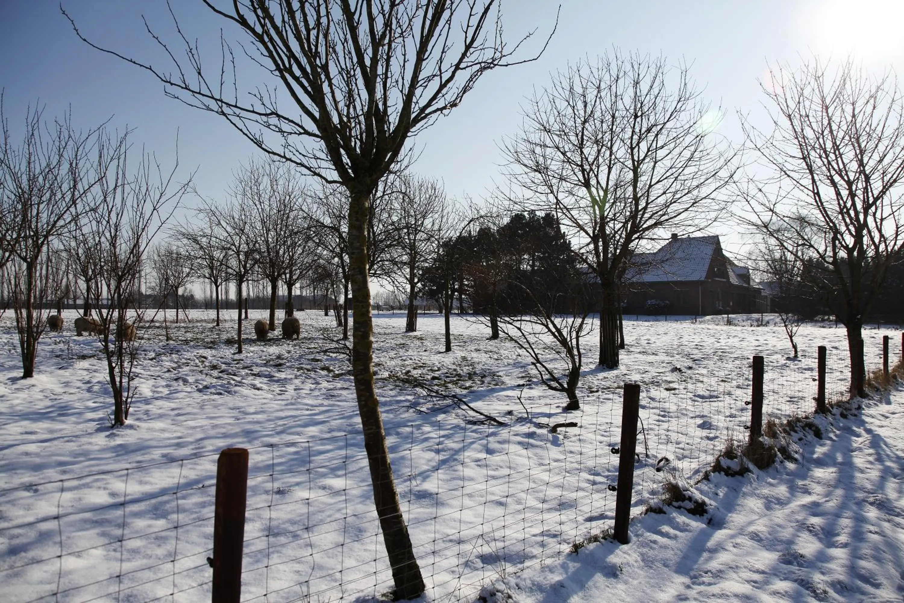 Winter in De Sneppelhoeve