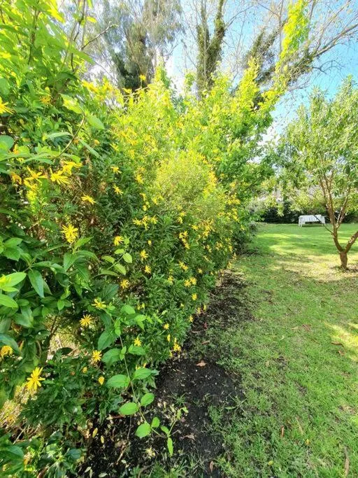 Spring in Casa Acantilados Playa & Golf