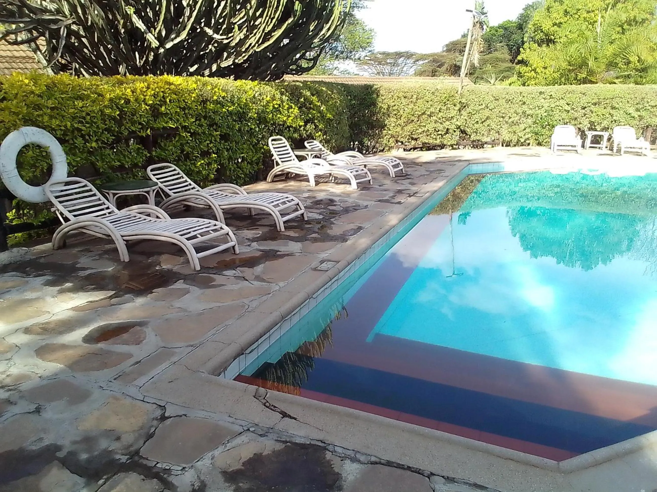 Swimming pool in Mara River Lodge