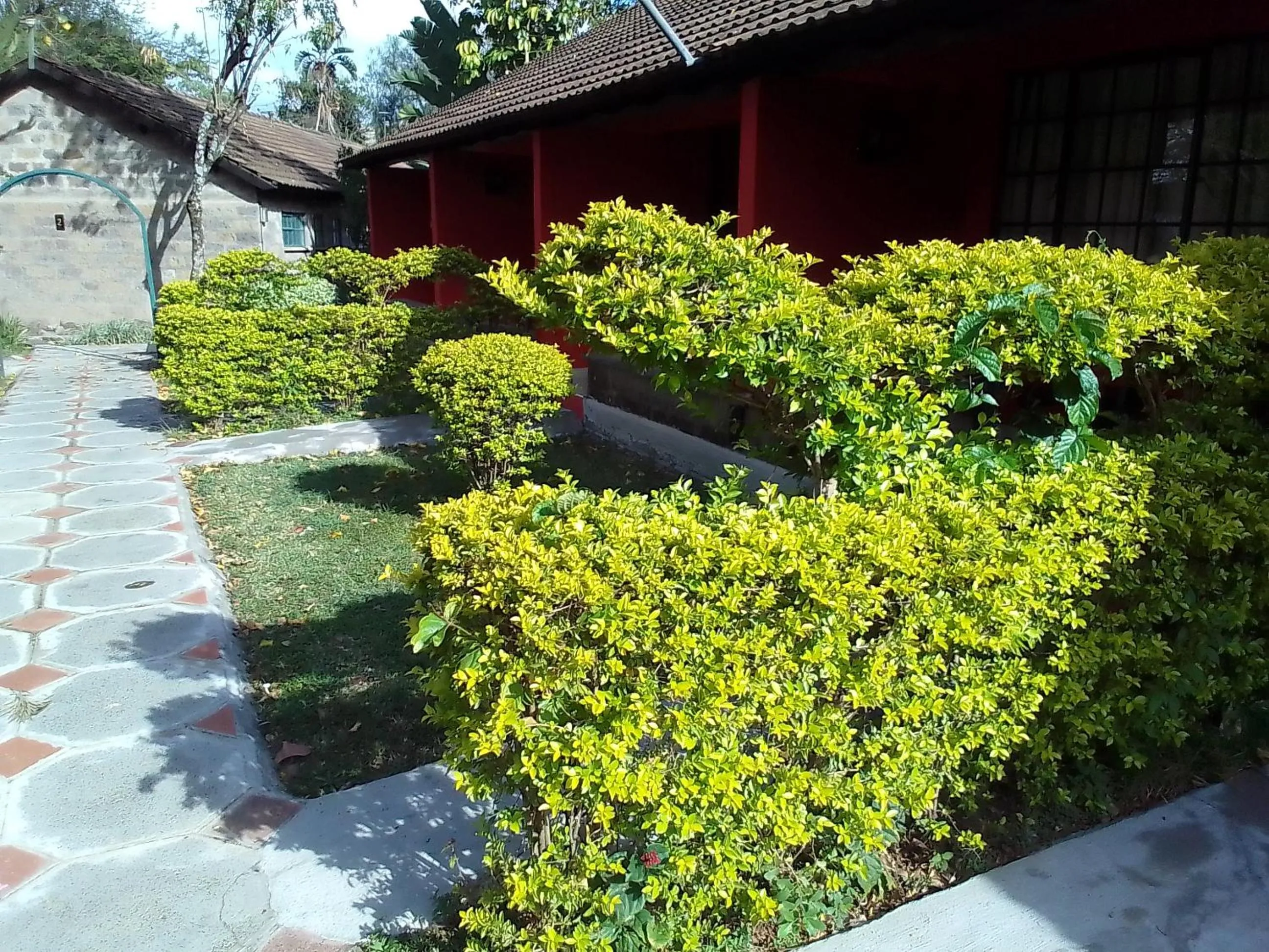 View (from property/room) in Mara River Lodge