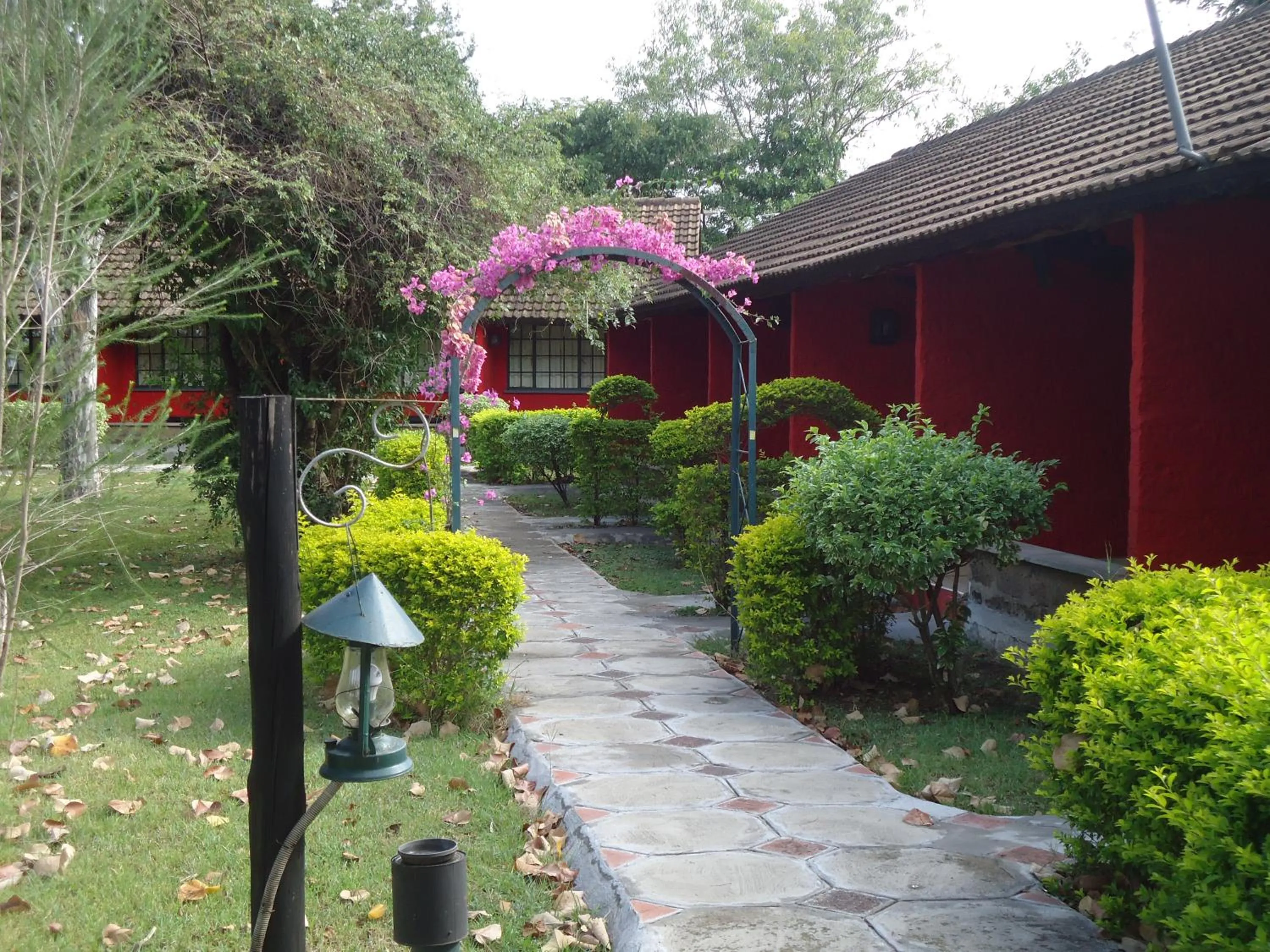 Balcony/Terrace in Mara River Lodge