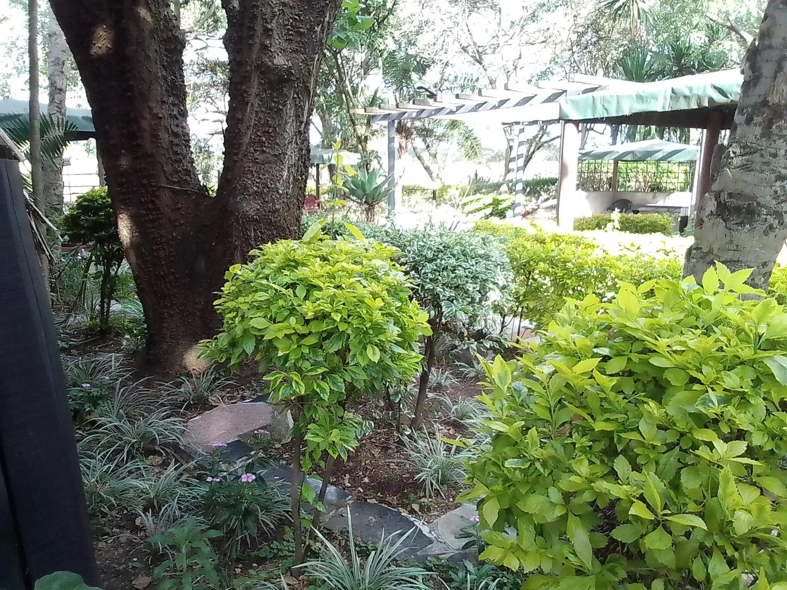 Other in Mara River Lodge