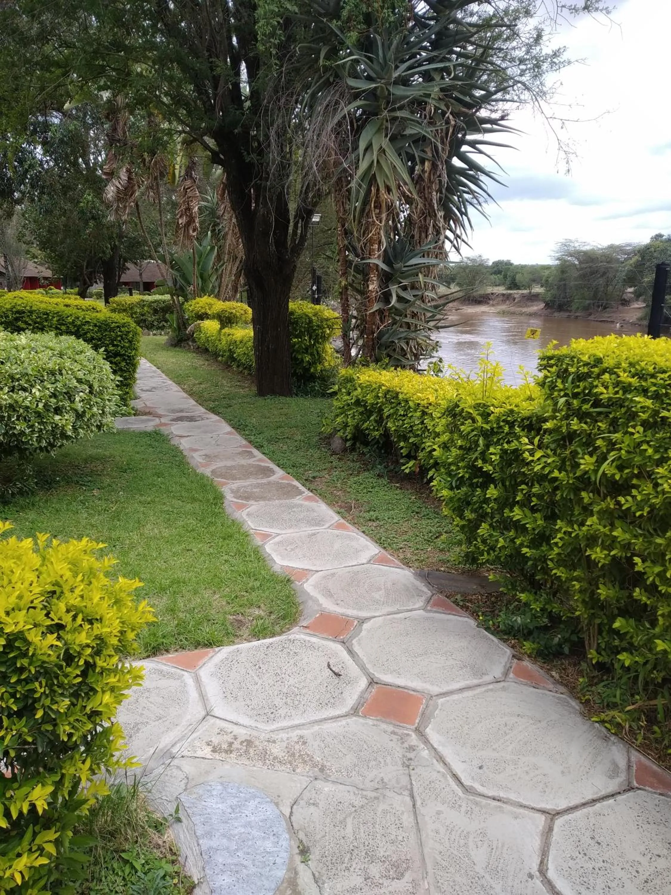 Property building in Mara River Lodge