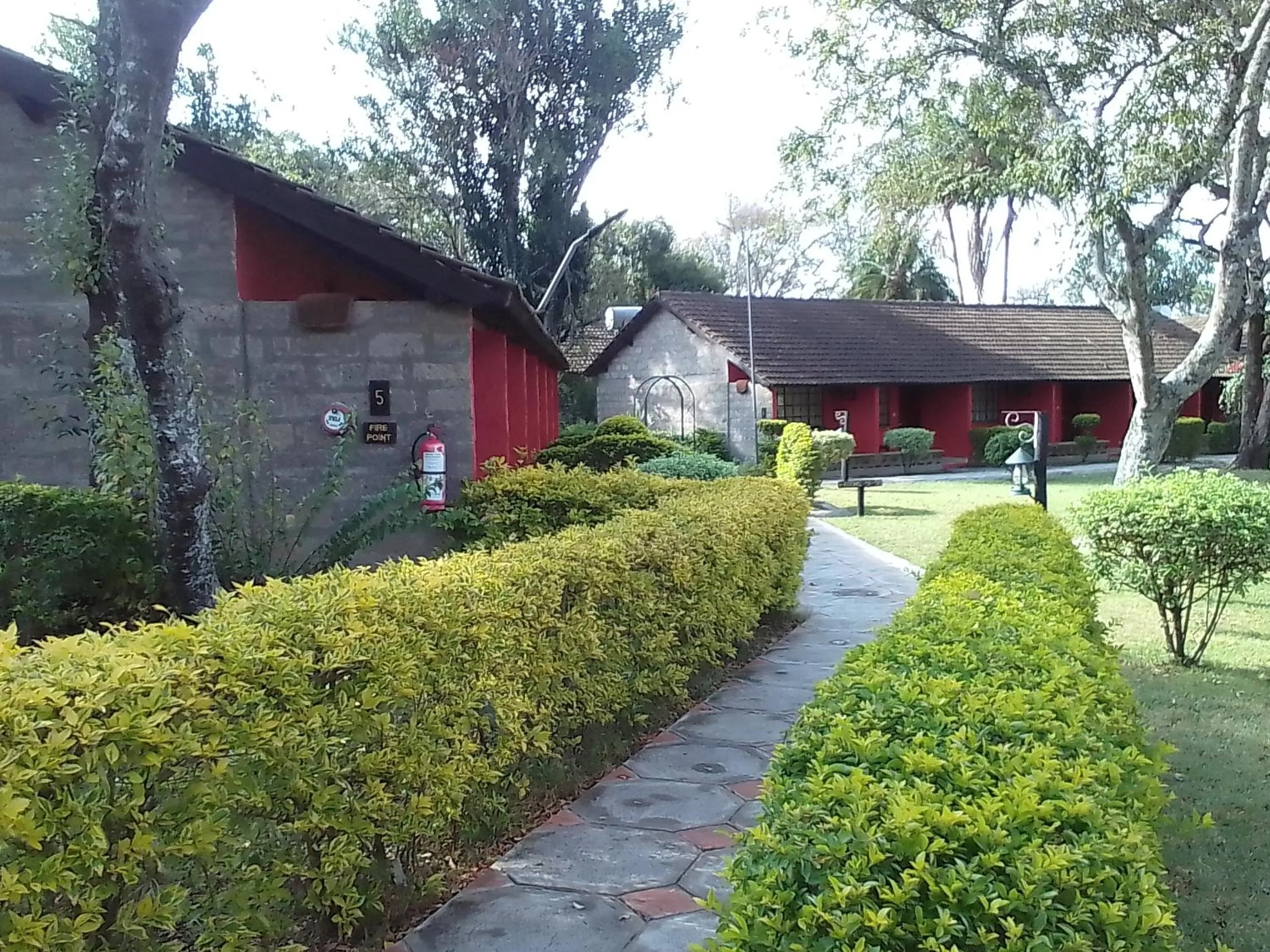 View (from property/room) in Mara River Lodge