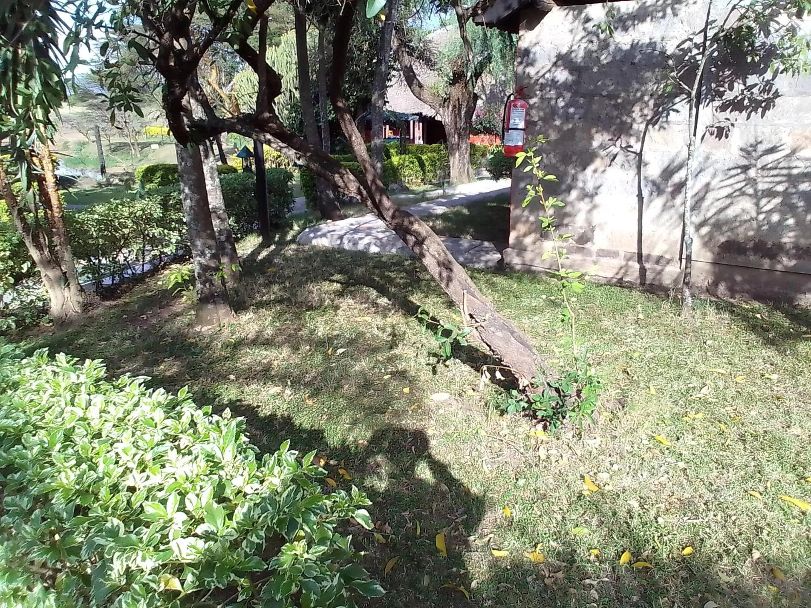 Property building in Mara River Lodge