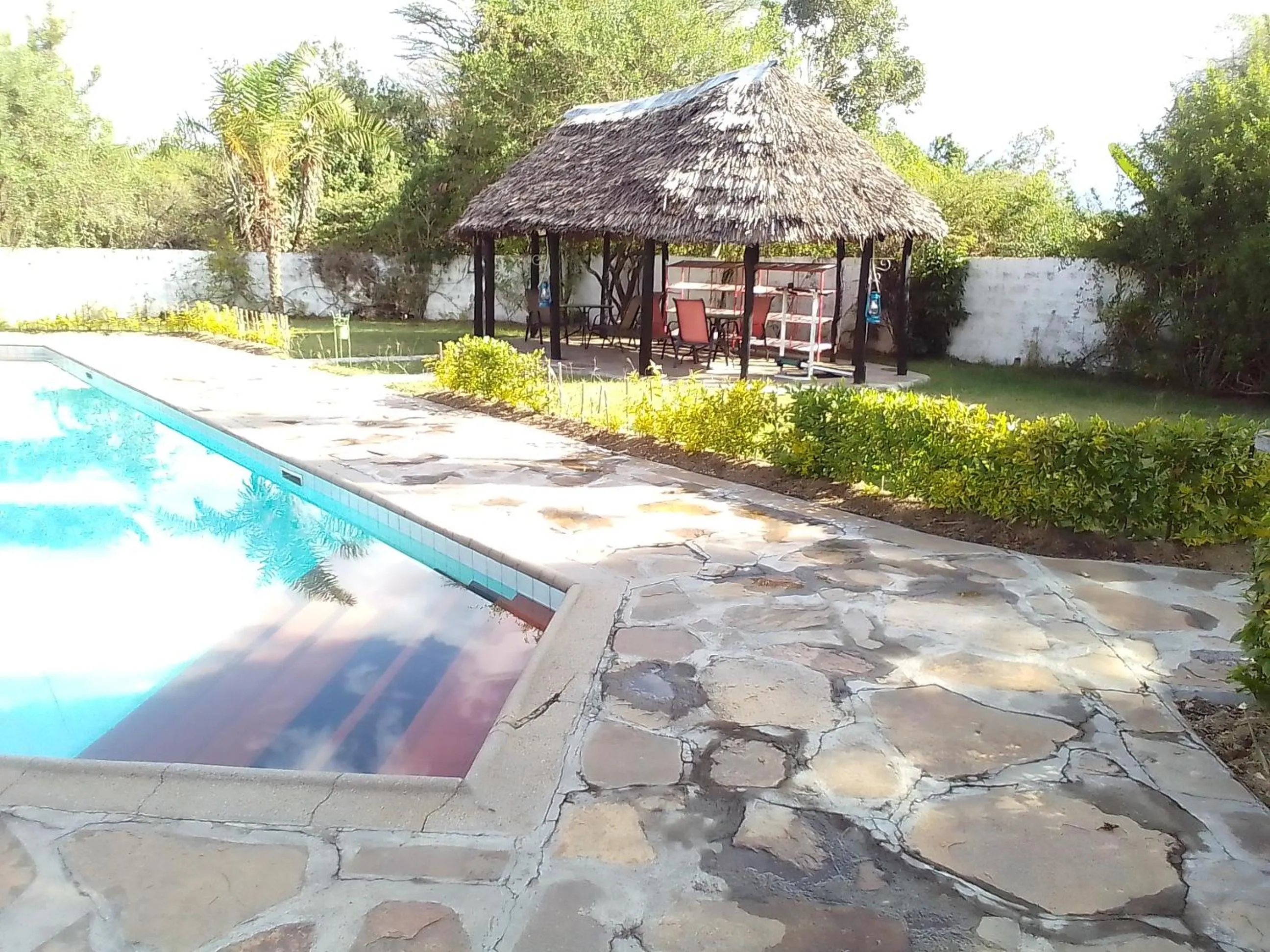 Swimming pool in Mara River Lodge