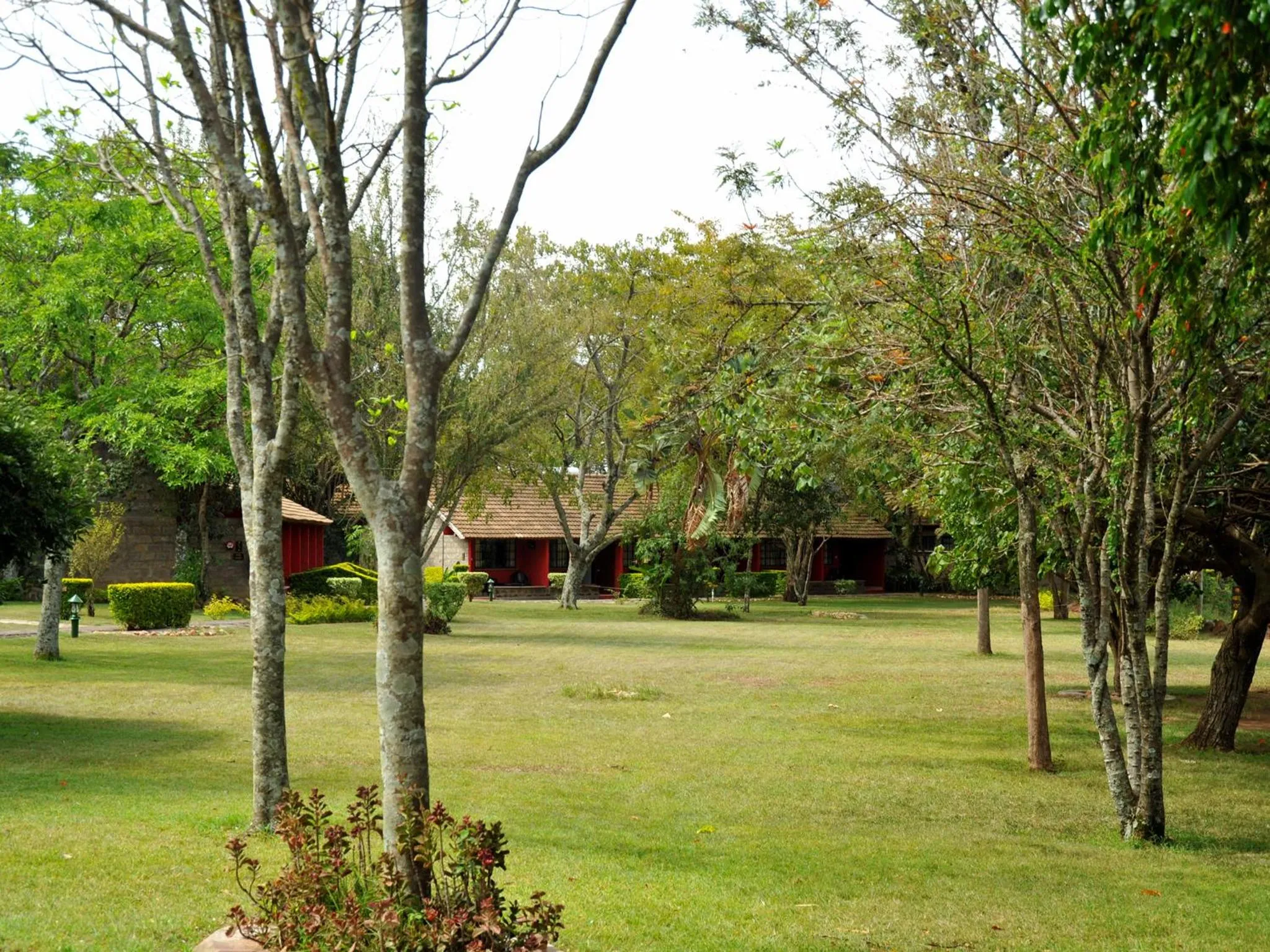 Day in Mara River Lodge