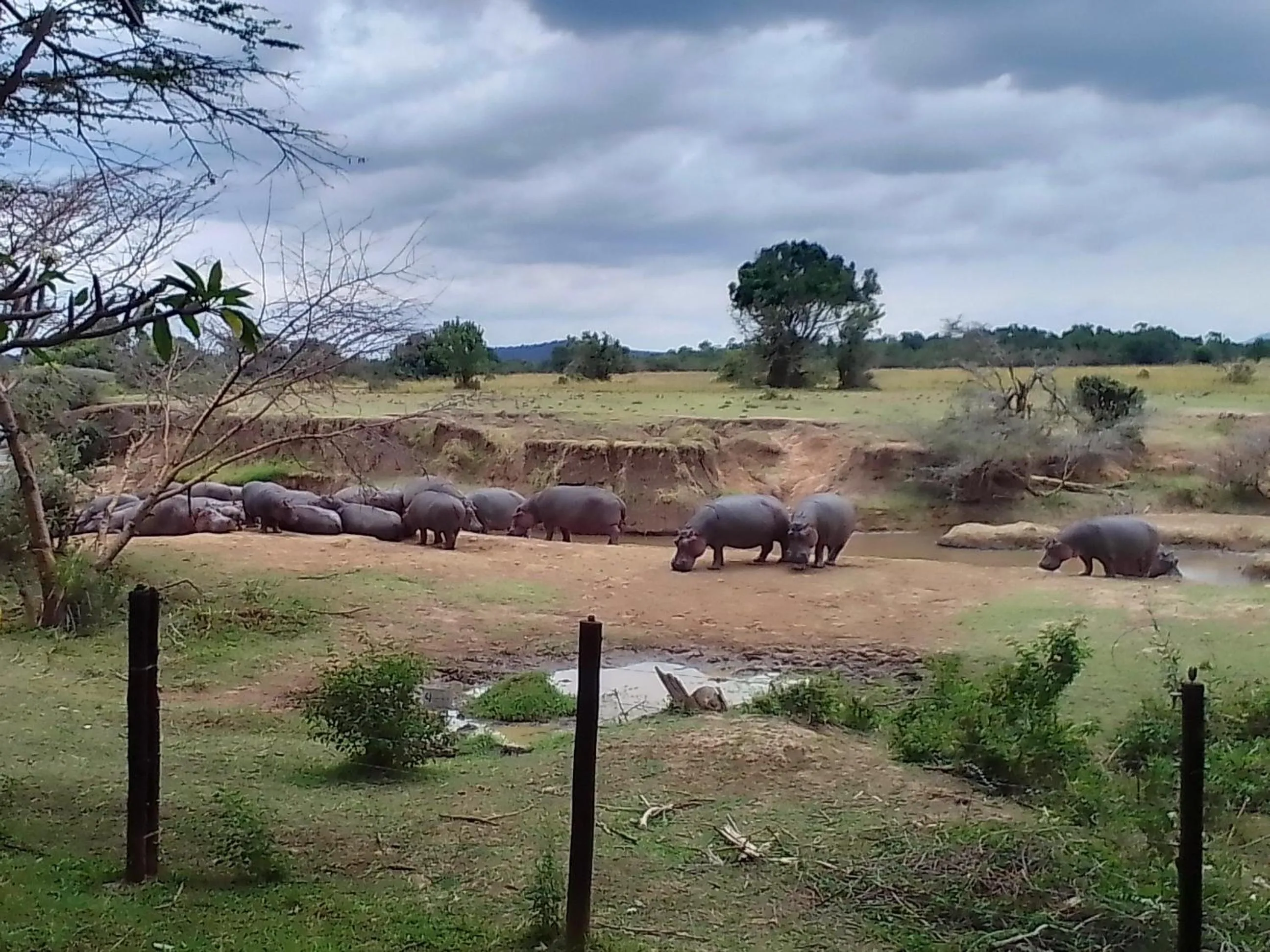 River view in Mara River Lodge
