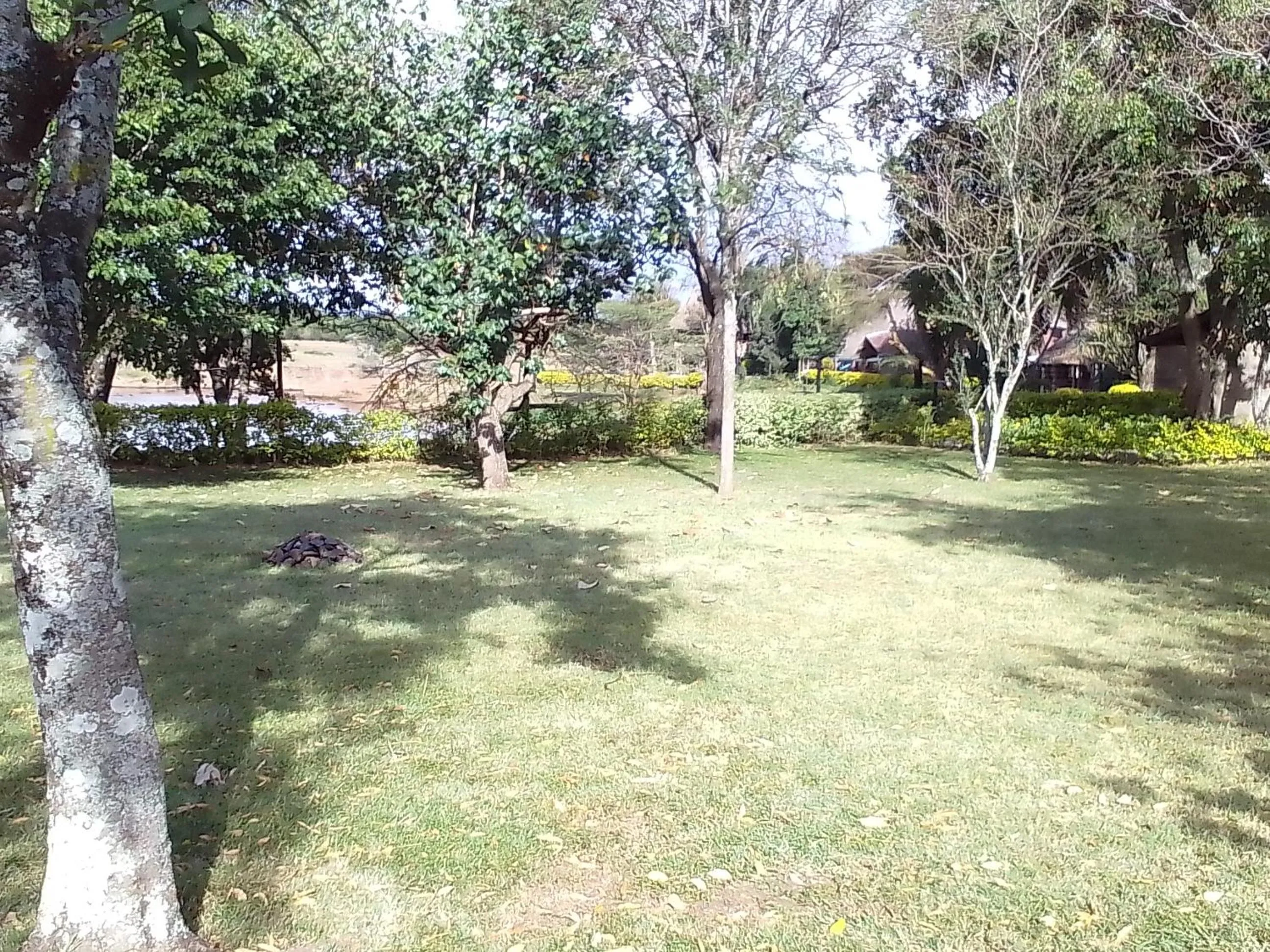 Property building in Mara River Lodge