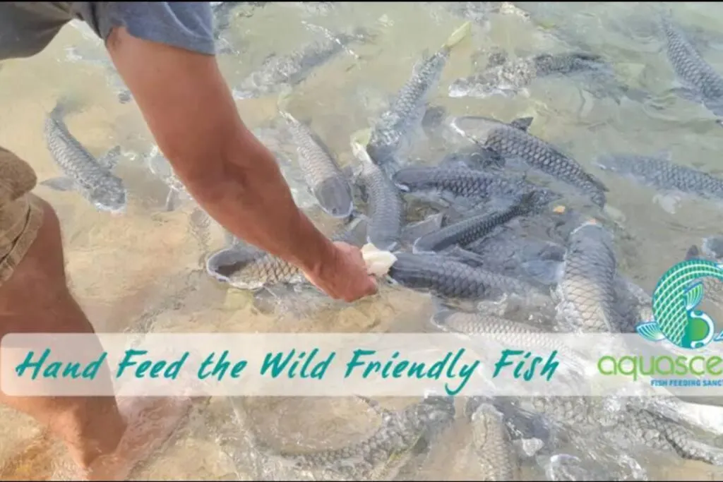 Downtown Delight 2BR Getaway with Pool