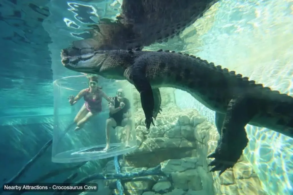 Downtown Delight 2BR Getaway with Pool